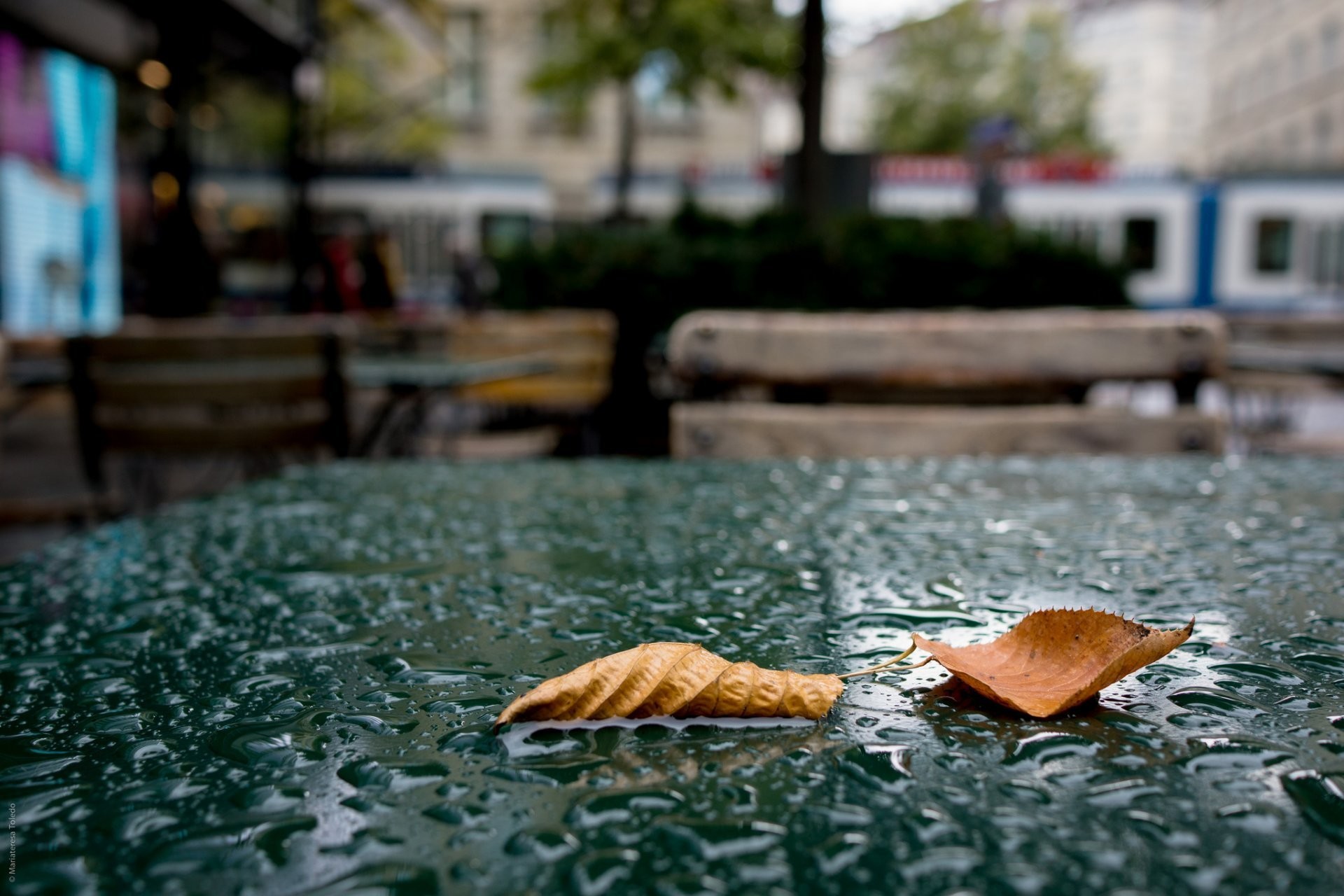 1920x1280 leaves autumn rain drops cafe table town