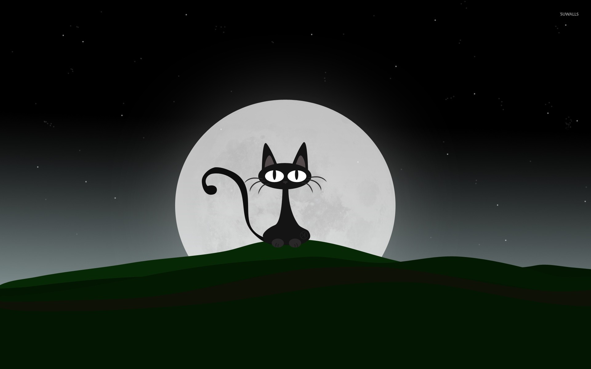 1920x1200 Black cat on a beautiful night with full moon wallpaper