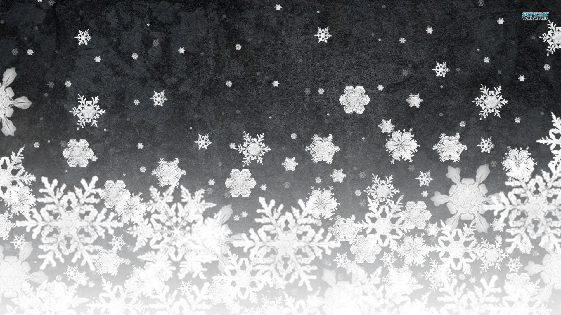 1920x1080 Snowflakes-High-Quality-Snowflakes-wallpaper-wpt7208649