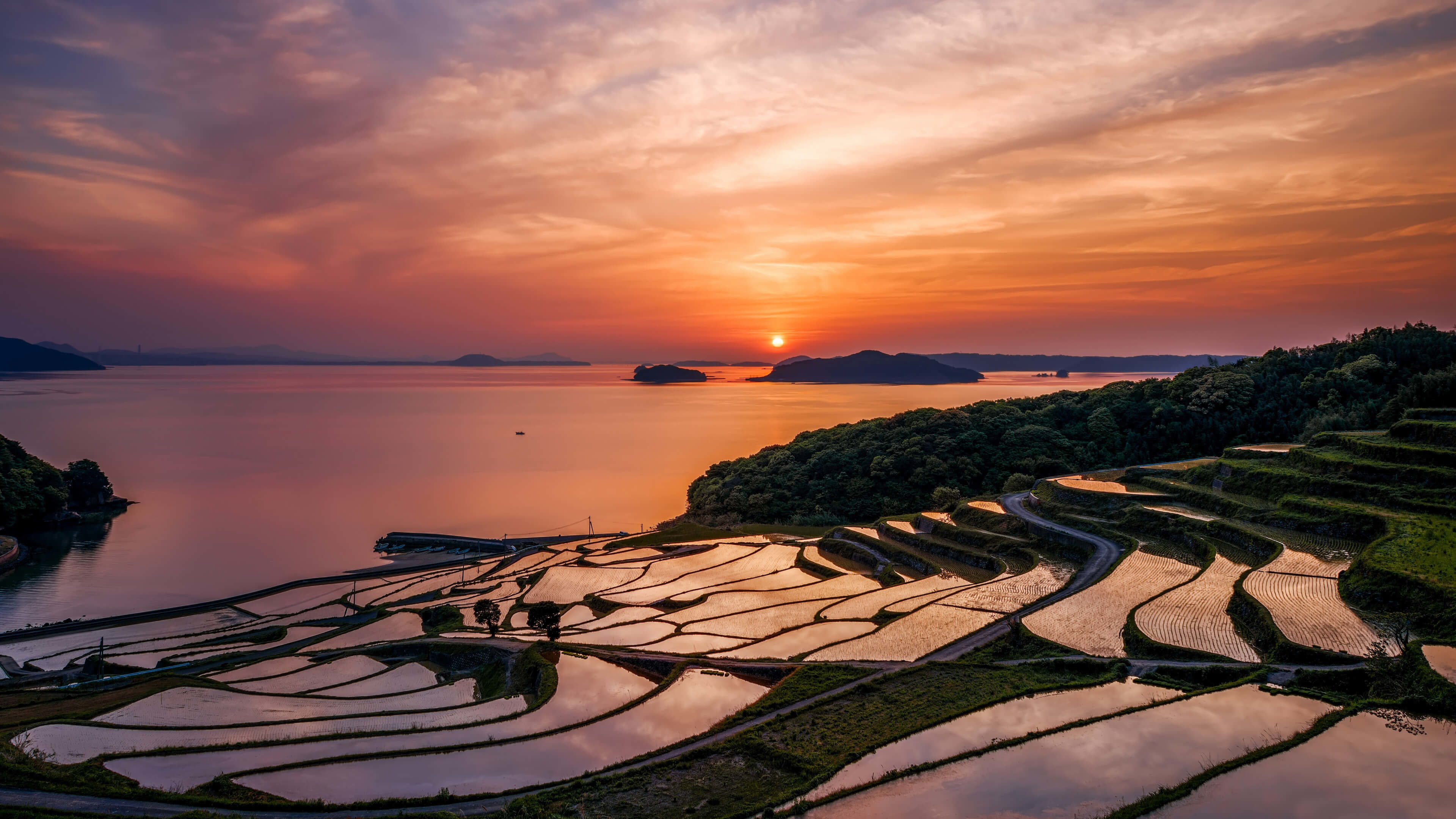 3840x2160 Japan's Rise Fields at Sunset 4K Wallpaper
