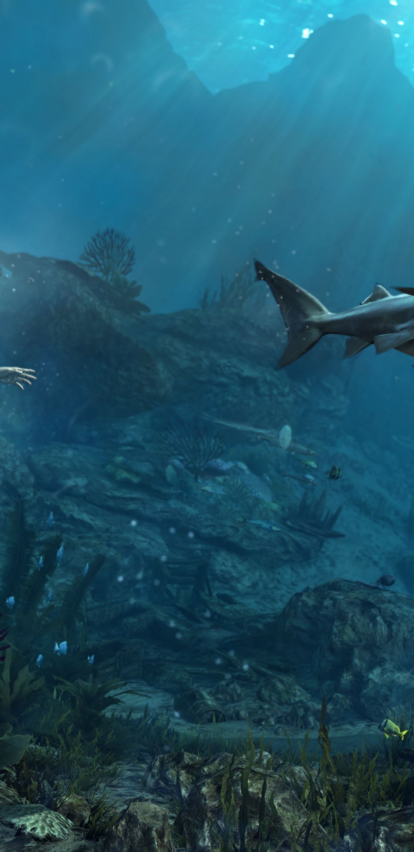 1440x2960 Assassin's Creed 4: Black Flag, Underwater, Shark, Shipwreck