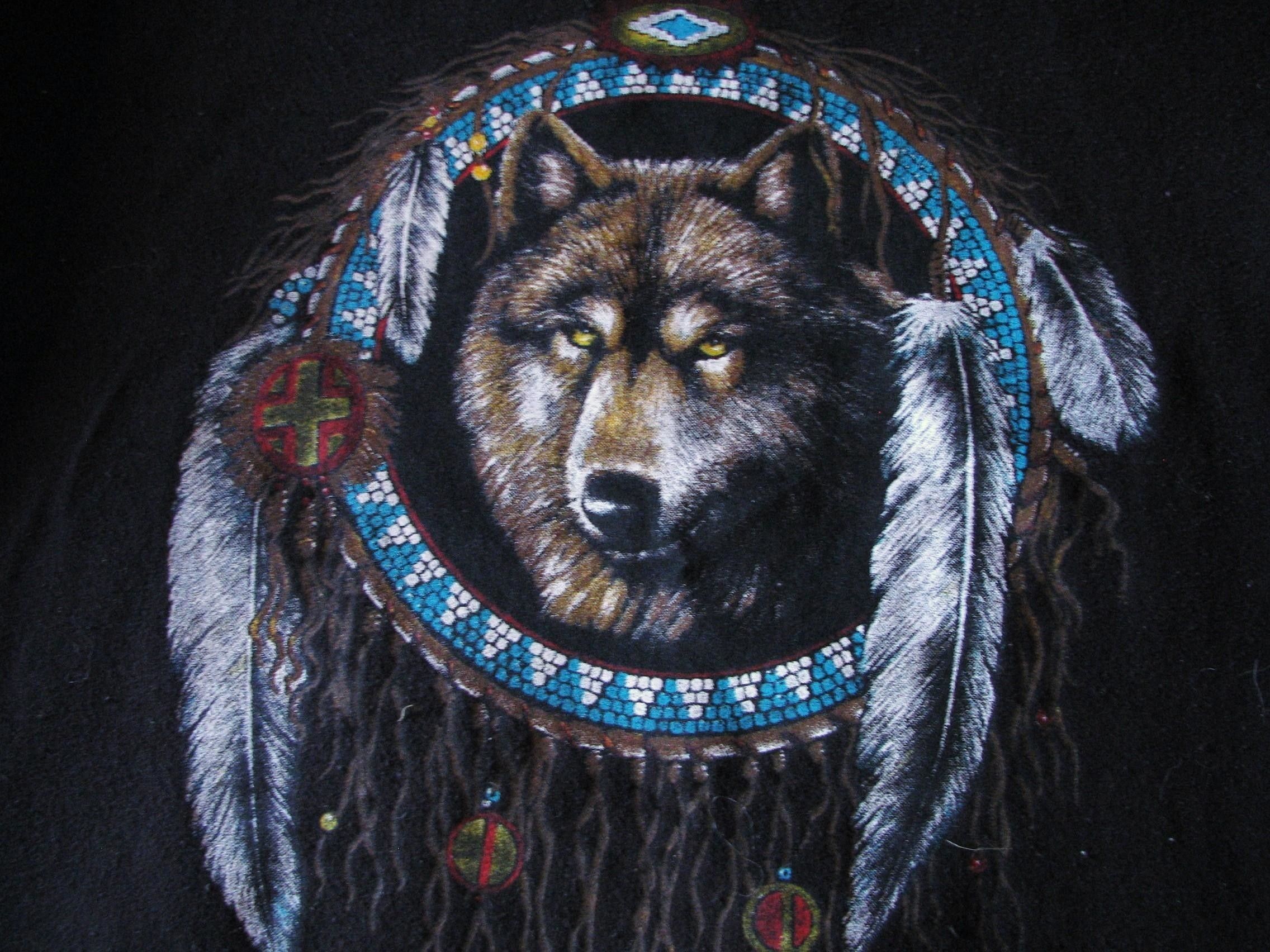 2272x1704  Indian and Wolf Wallpaper Images (64+ images)"> Â· Download Â·  1680x1050 Native American ...