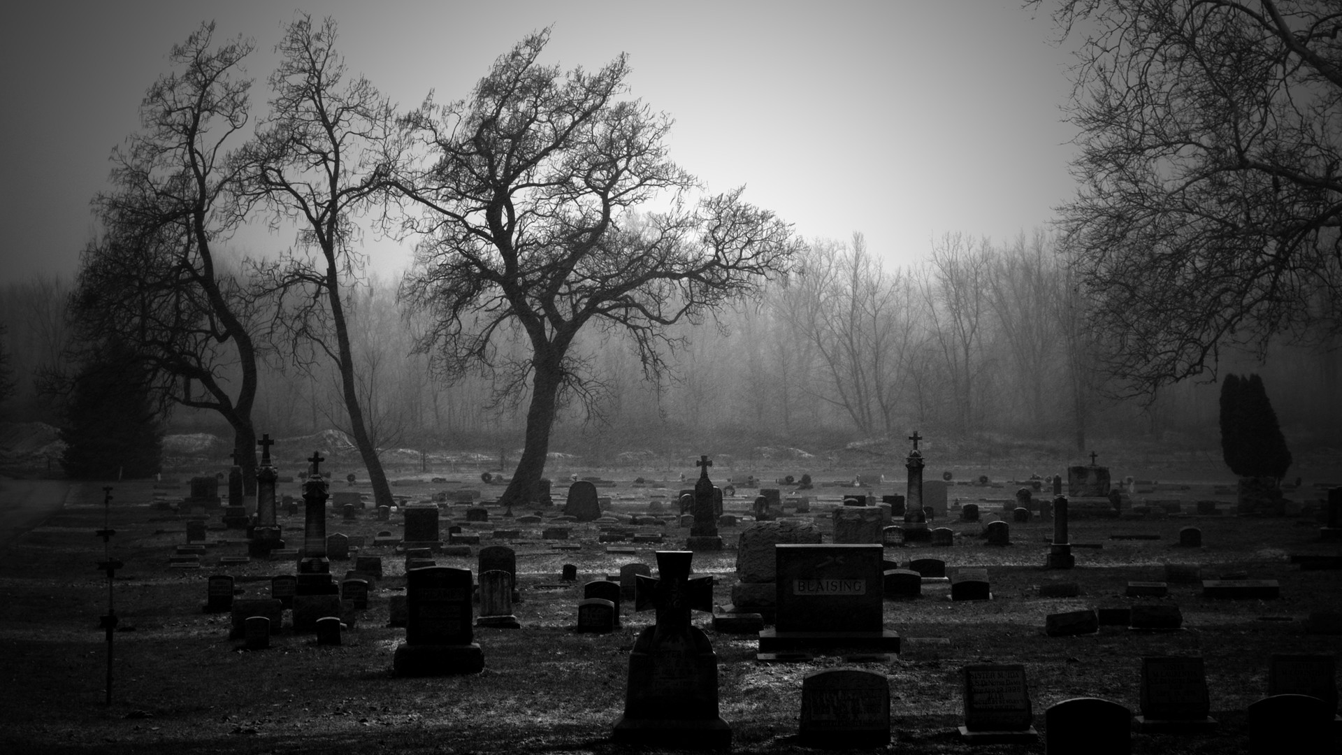 1920x1080 Cemetery. | Cemetery BW Tombstones Trees wallpaper. Cemetery Religious  desktop ...