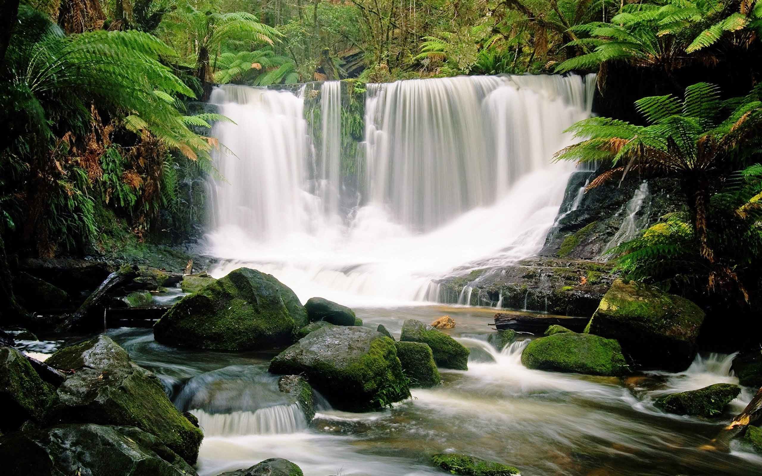 2560x1600 Waterfalls Falls Nature HD Wallpaper For Mobile Free Download