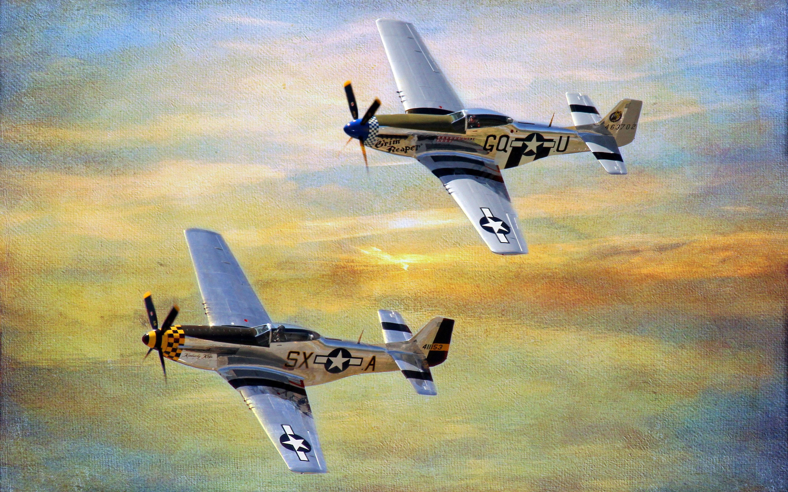 2560x1600 Aircraft Military P-51 Mustang Paintings