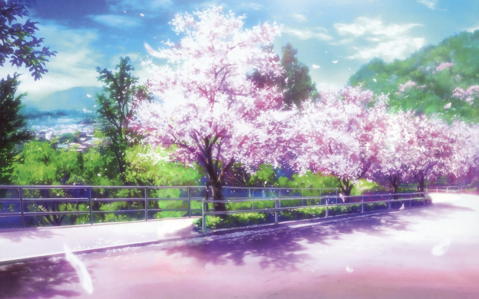 1920x1200 Anime Cherry Blossom Desktop Wallpaper.