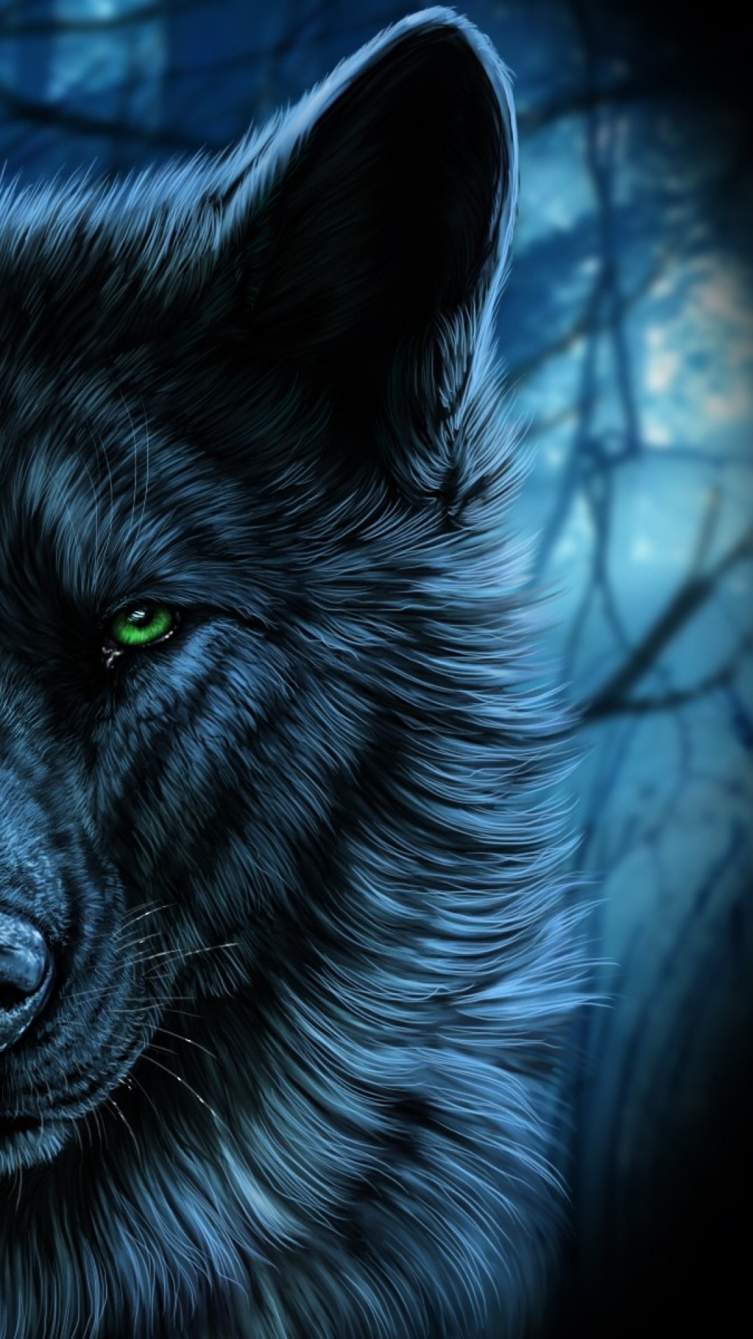 1080x1920 Starry Wolf Wallpaper