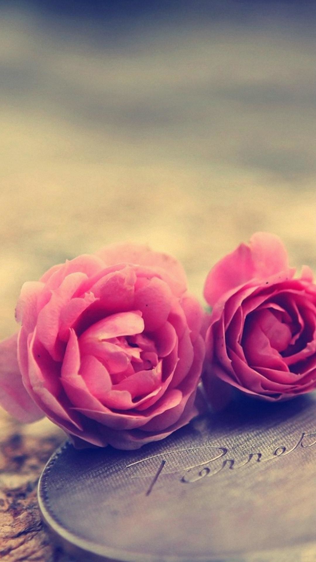 1080x1920 wallpaper.wiki-Cool-Pink-Rose-Iphone-Background-PIC-