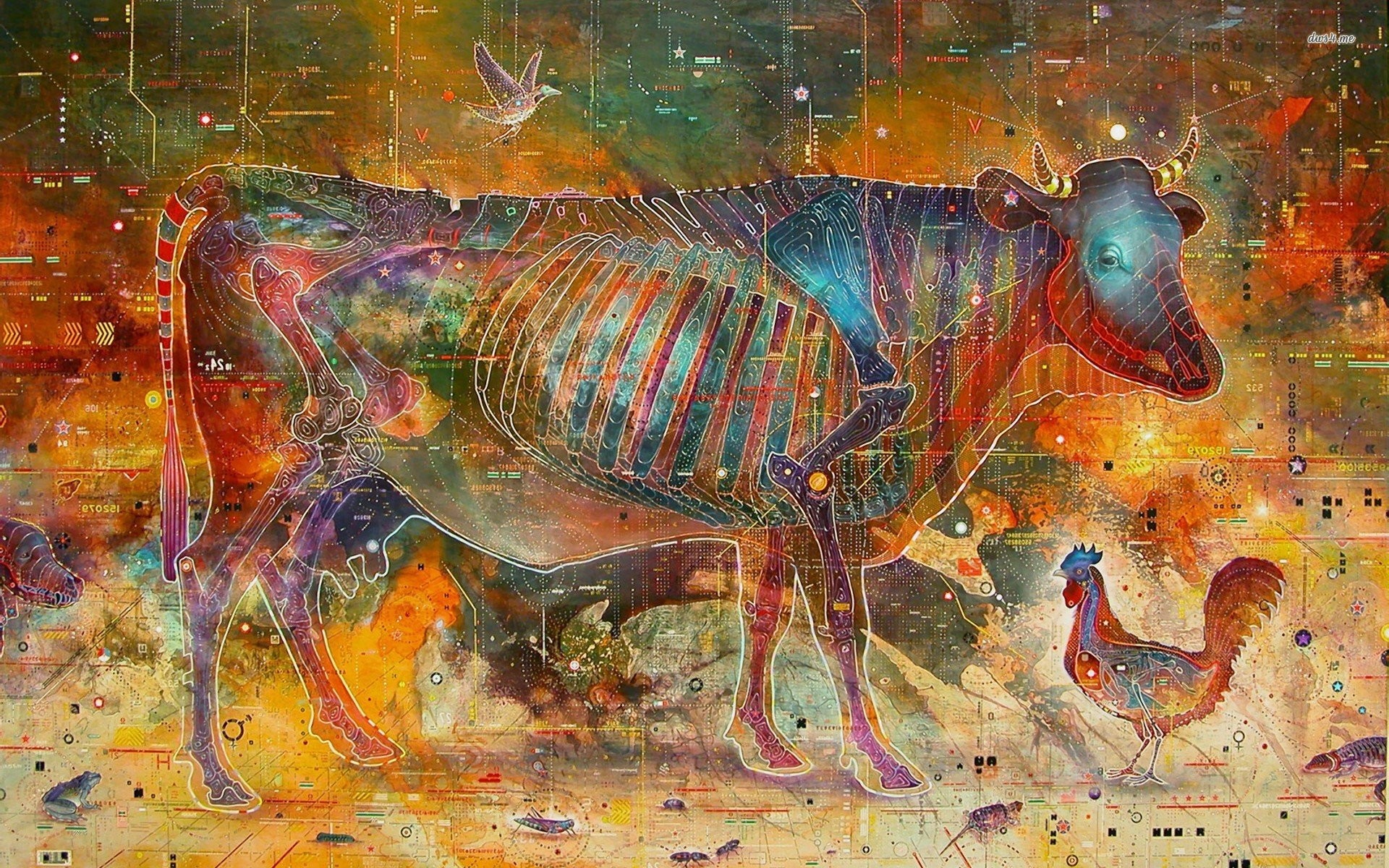 1920x1200 Animal Anatomy