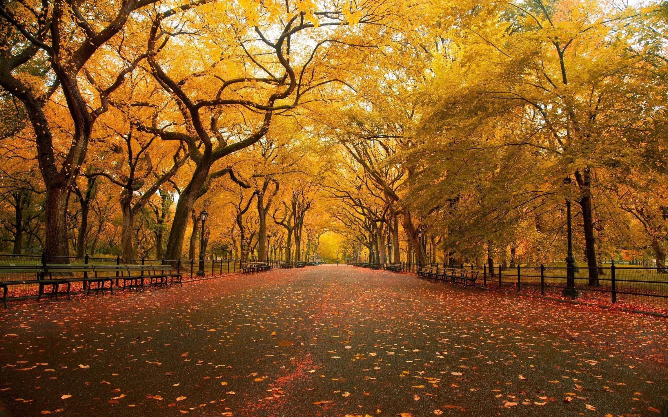 2304x1440 United States, New York, New York City, Central Park in the Fall Season widescreen  wallpaper