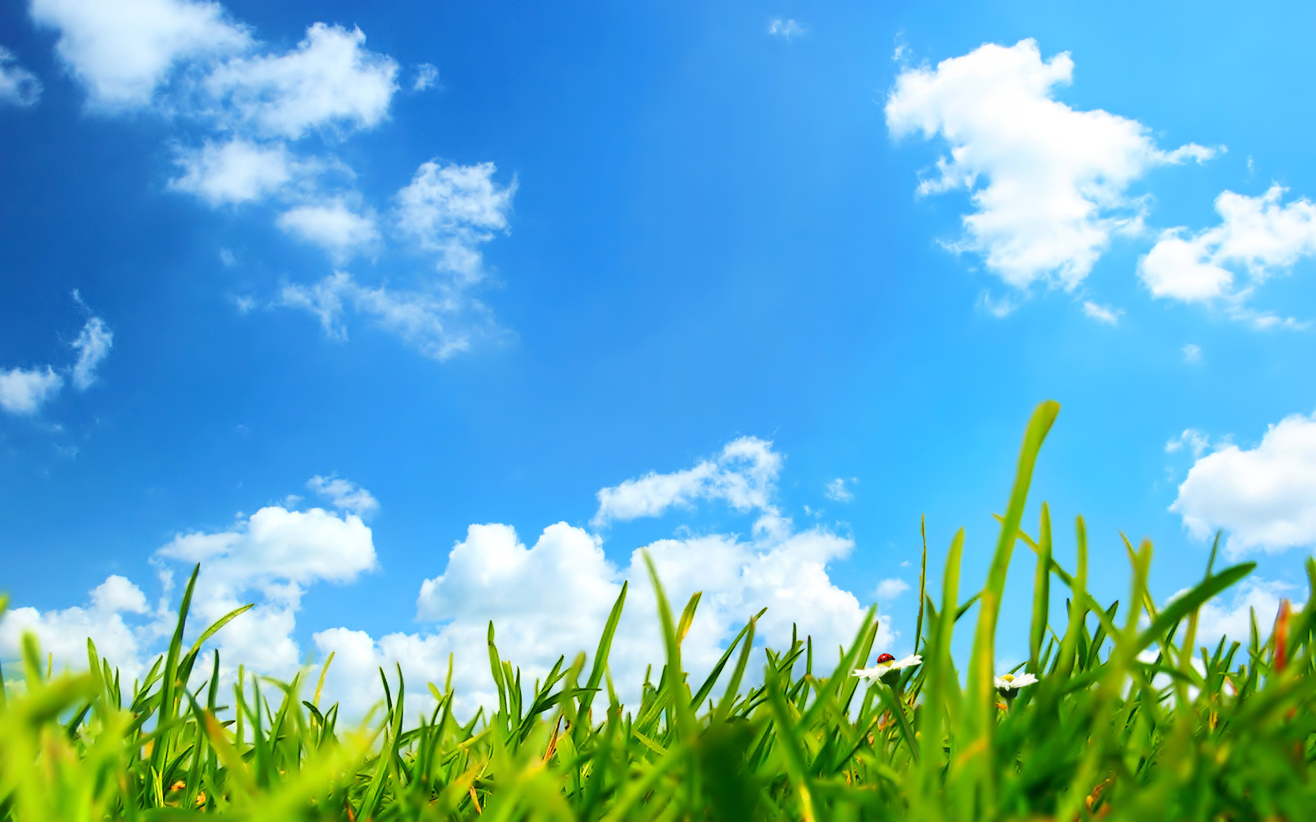 Grass And Sky Wallpaper (71+ images)