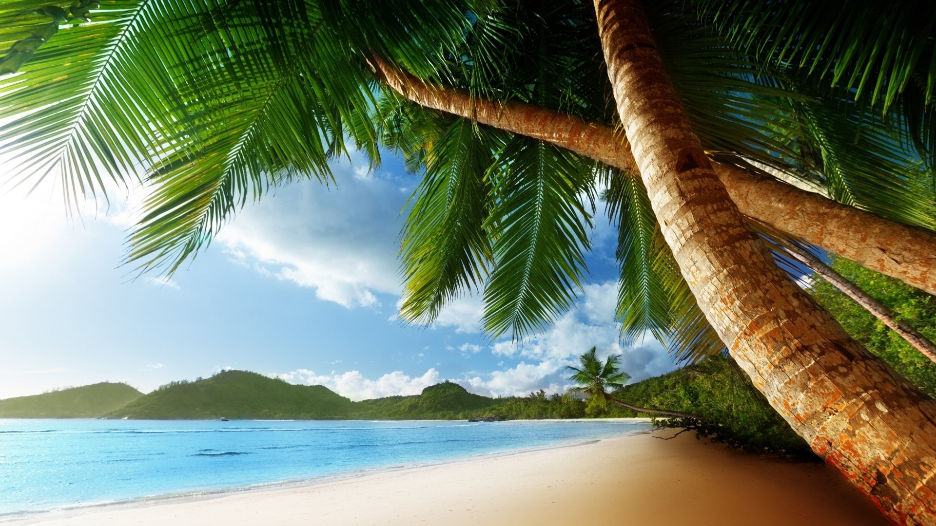 1920x1080  Chill Out Beach Palm Trees