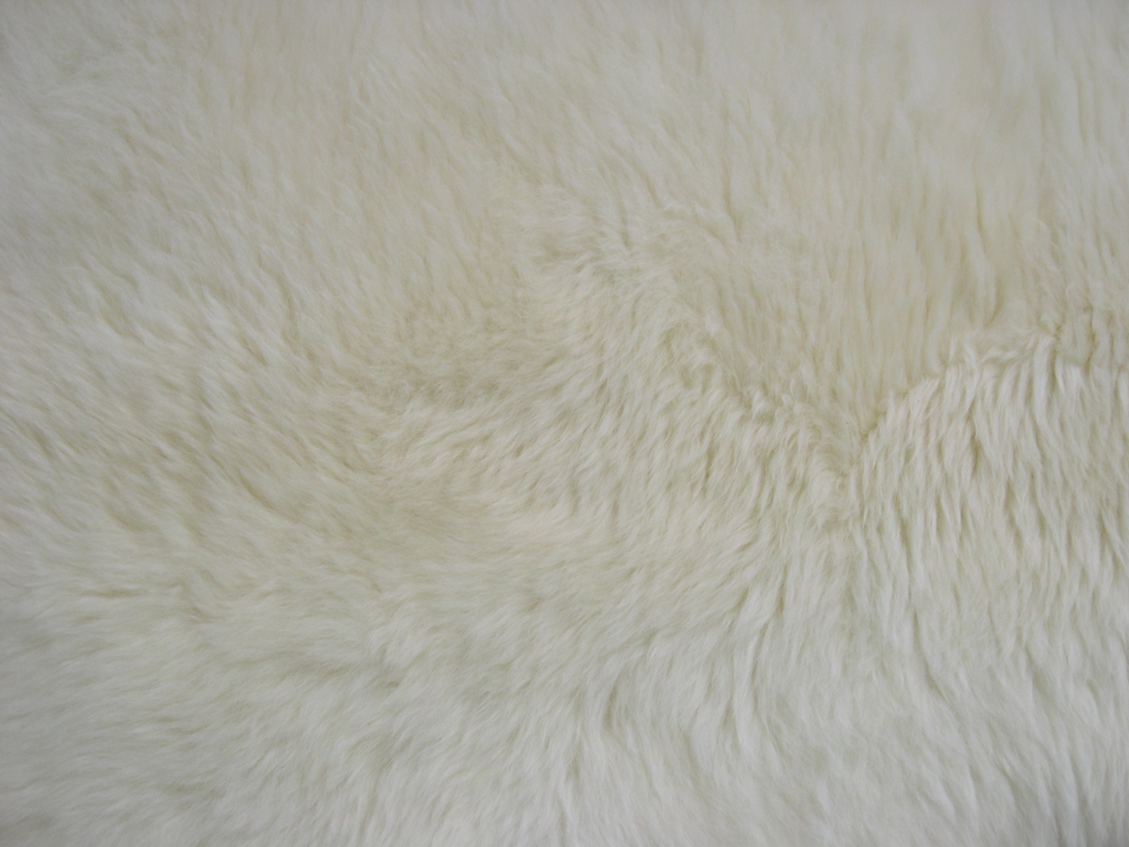 2272x1704 White Fur Texture