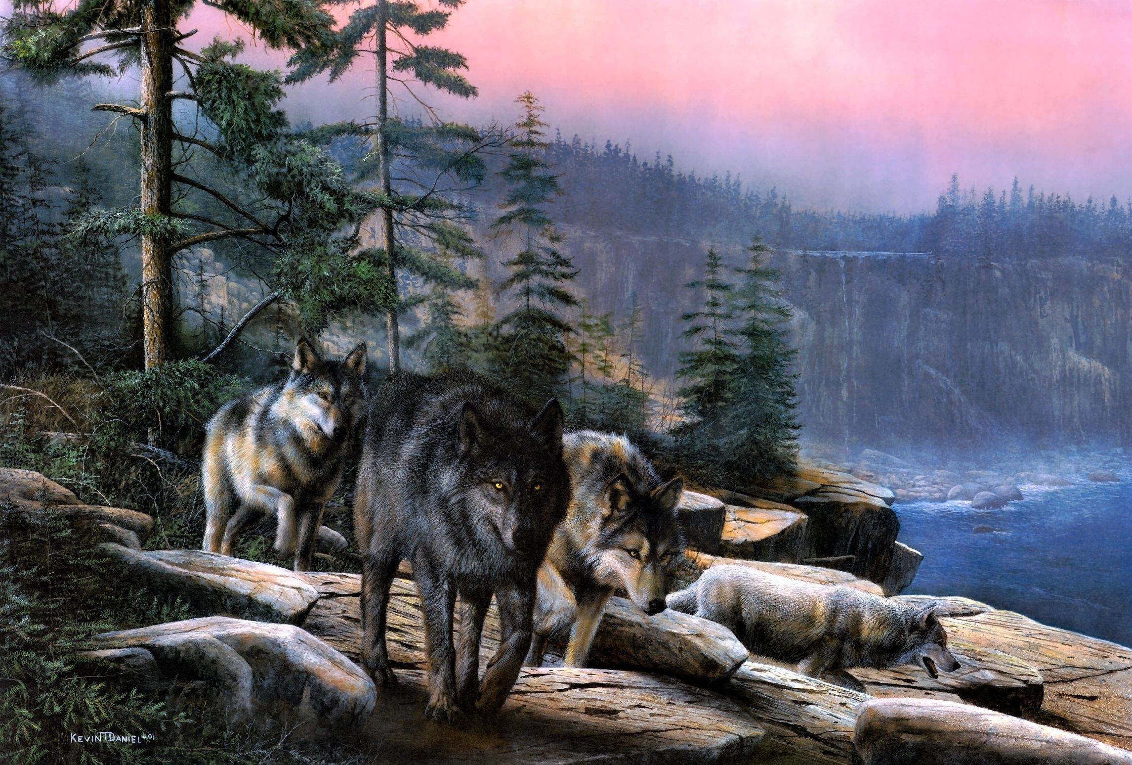 2291x1547 Wallpapers For > Animated Wolf Pack Wallpapers