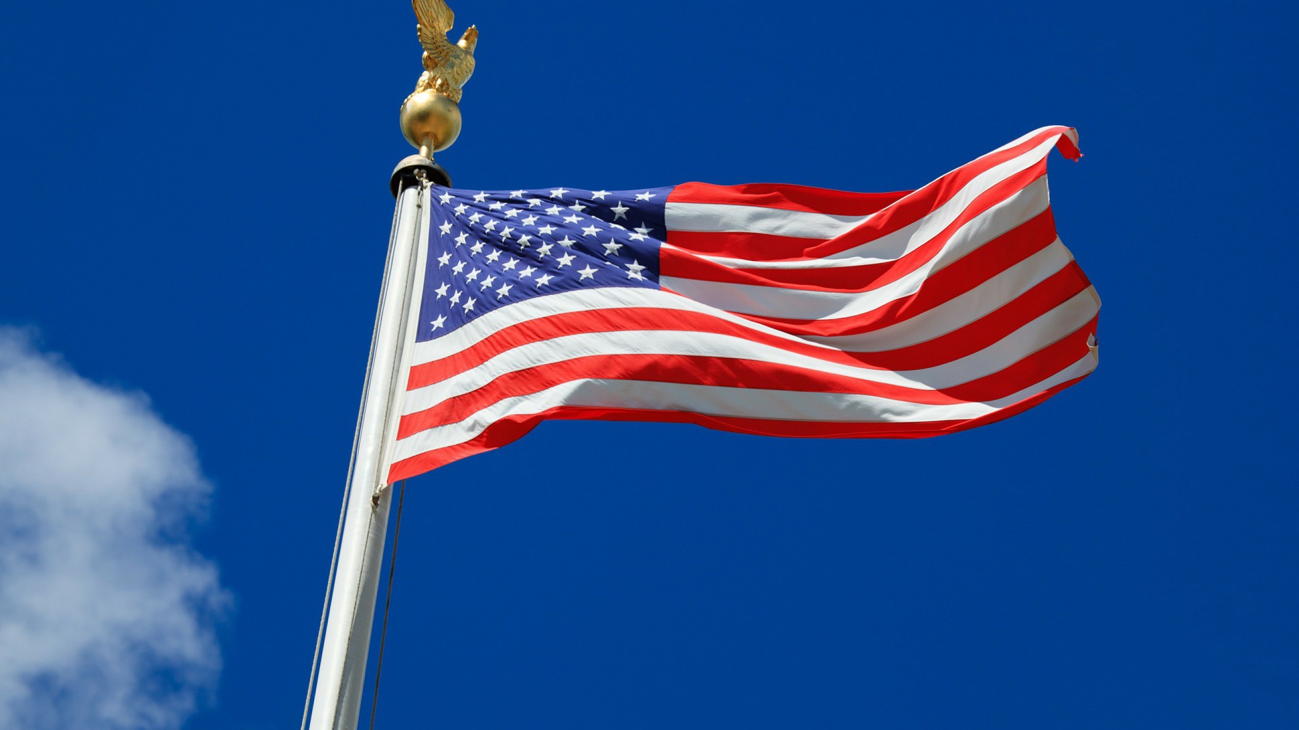 2560x1440 Download. Â« American Flag Desktop HD Wallpaper Â· American Flag HD  Widescreen Wallpaper Â»