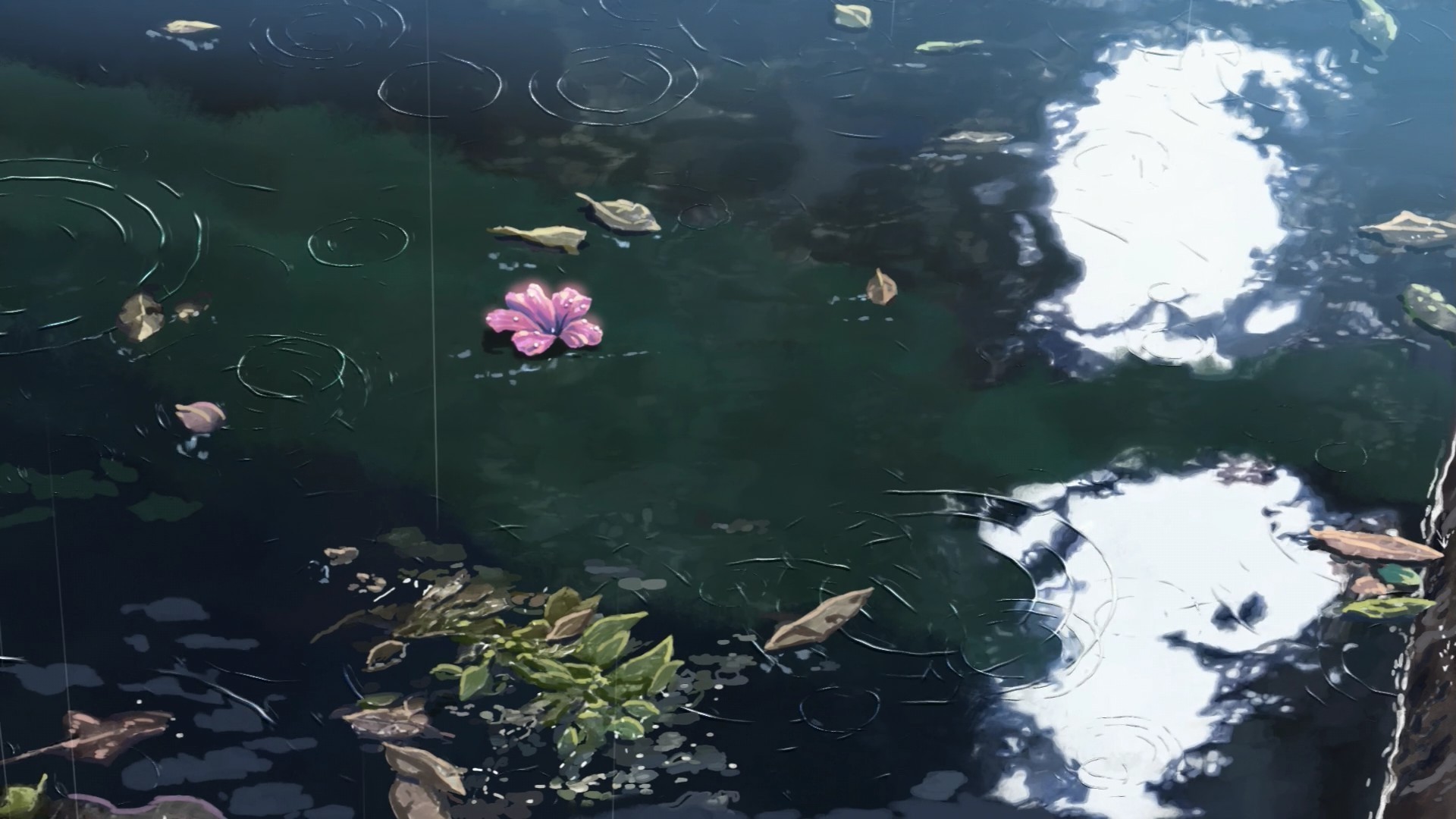 1920x1080 rain, The Garden Of Words, Makoto Shinkai, Water, Flowers, Sunlight  Wallpapers HD / Desktop and Mobile Backgrounds
