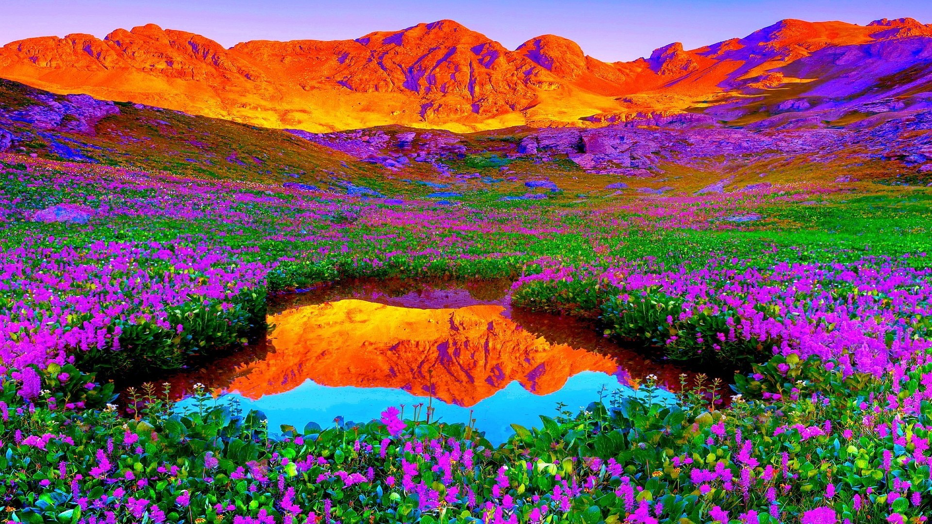 1920x1080 wallpaper.wiki-Brilliant-Colors-of-Nature-1080p-Background-. Brilliant  Colors Of Nature HD Desktop Background