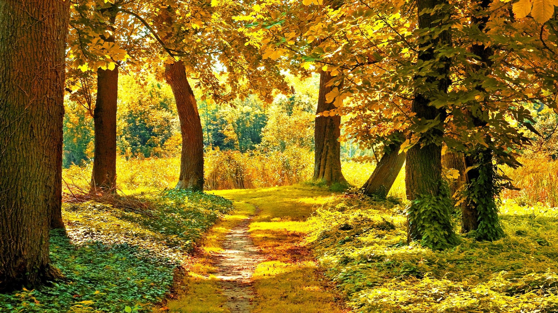1920x1080 21+ Best HD Autumn Landscape Wallpapers | feelgrPH Â· Landscape  WallpaperWallpaper Desktop