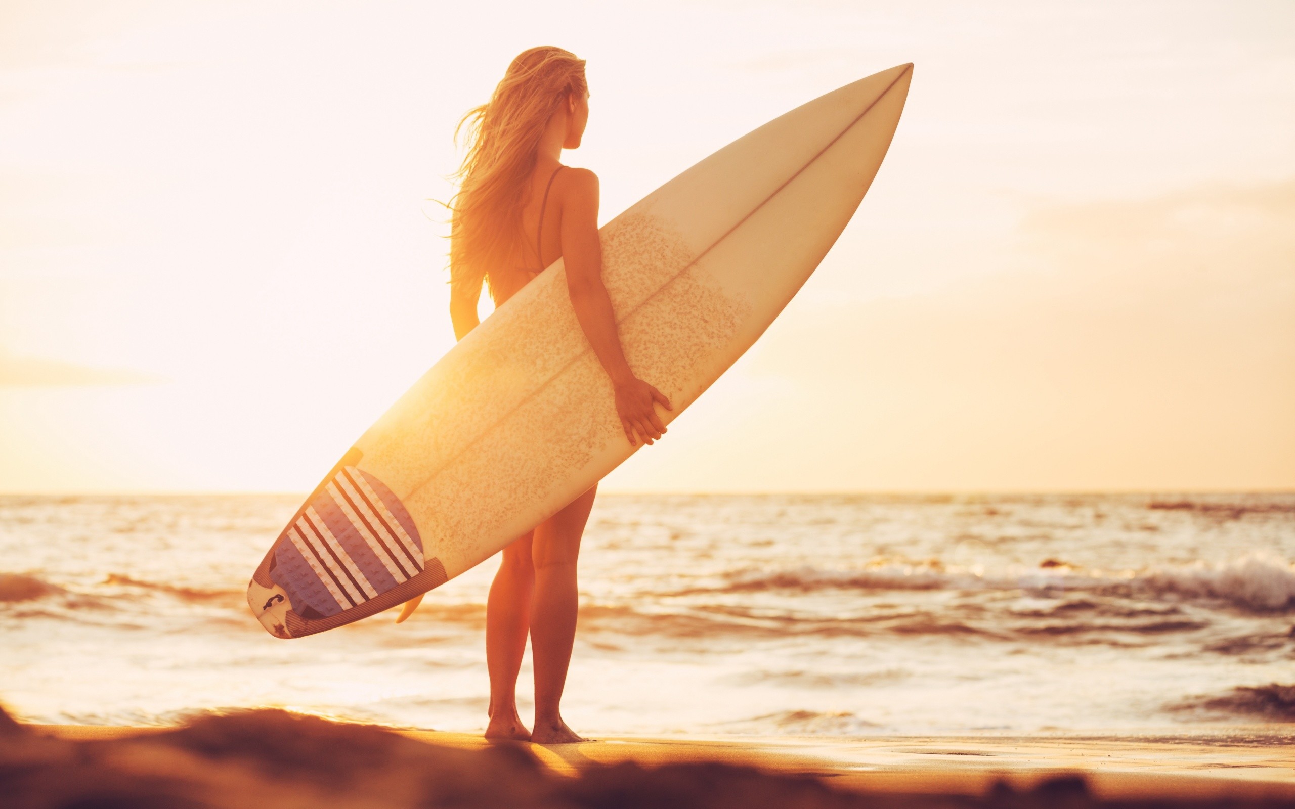 Surfboard Photos Download The BEST Free Surfboard Stock Photos  HD Images
