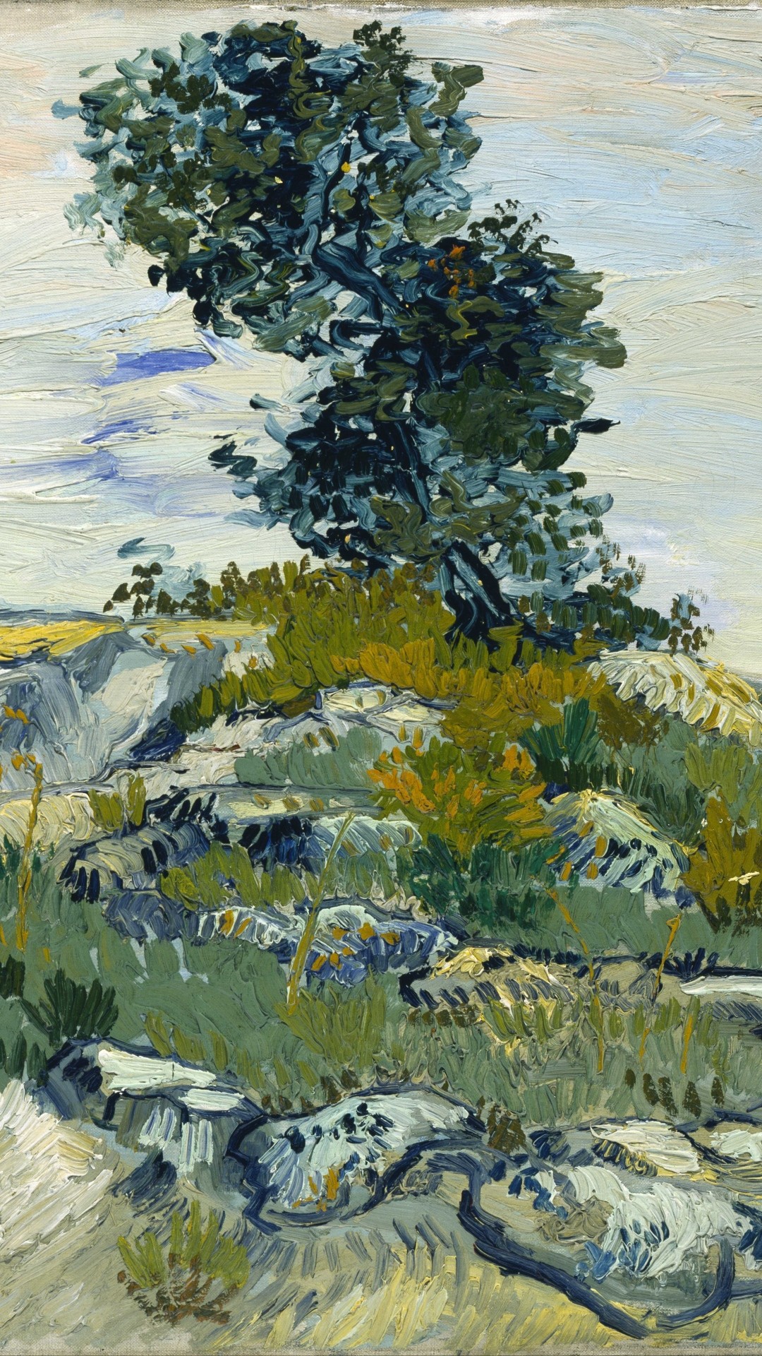 1080x1920  Wallpaper vincent van gogh, rocks with oak tree, the rocks,  landscape,