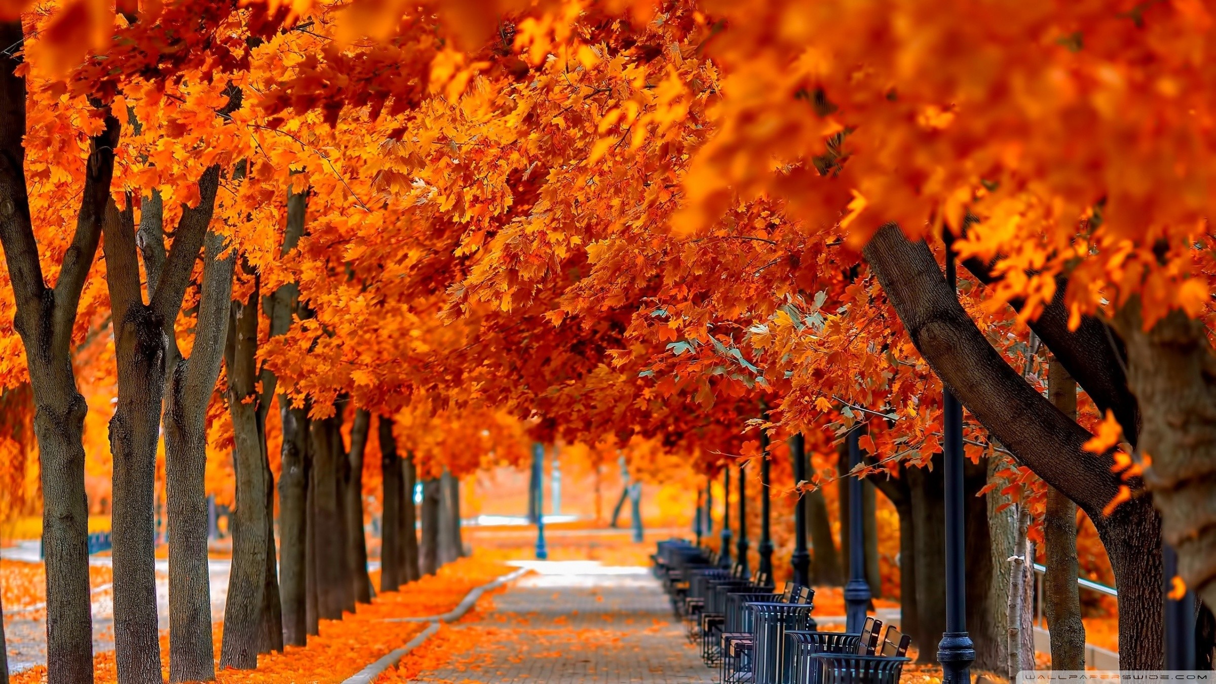 2400x1350 Wallpaper Fall nice hd wallpapers with red and orange colors