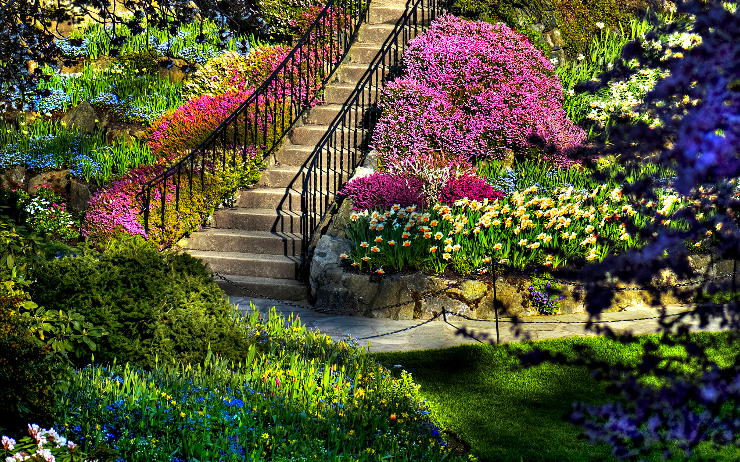 beautiful wallpapers of flower gardens