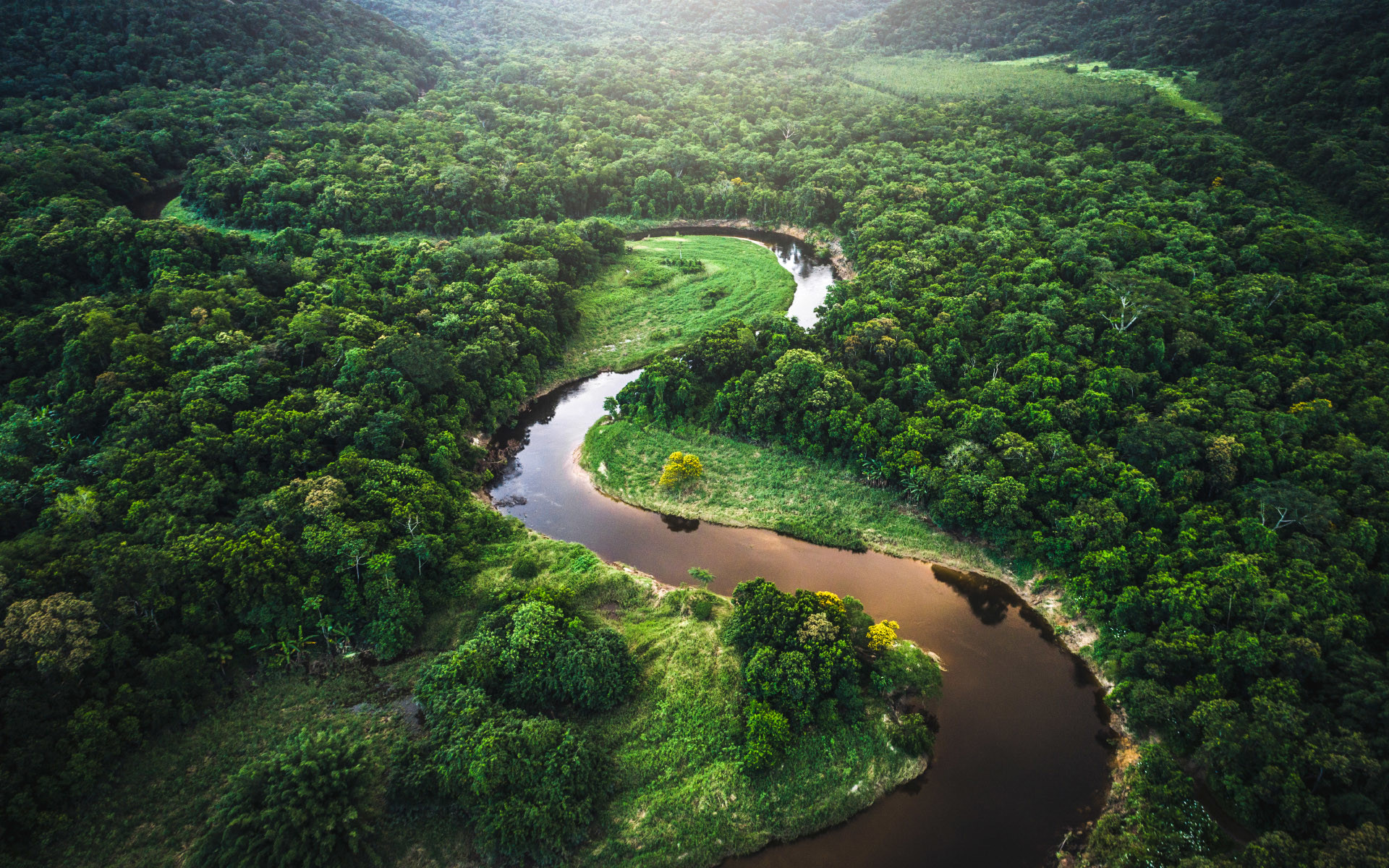 1920x1200 Amazon River winding through Atlantic RainForest in Brazil - Mata Atlantica