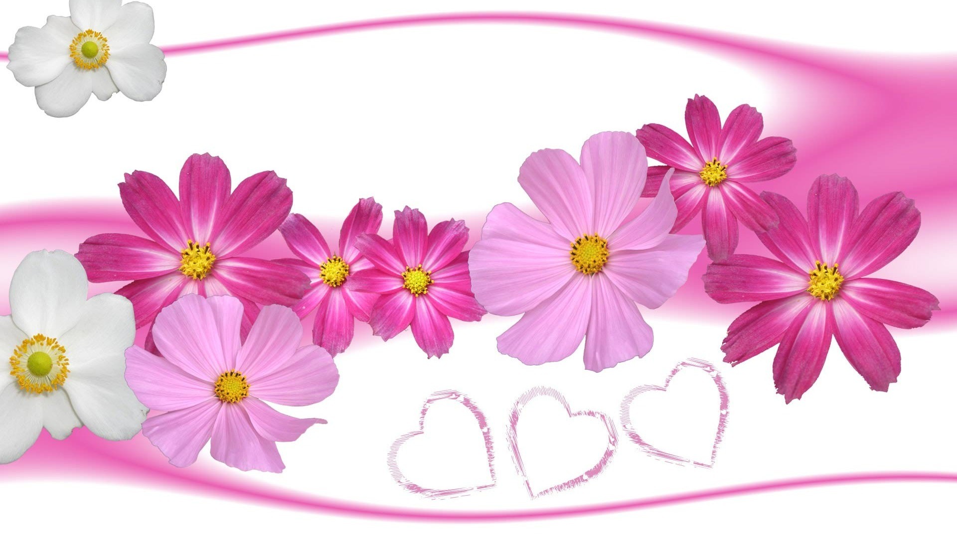 1920x1080 Download Pink flowers and hearts wallpaper