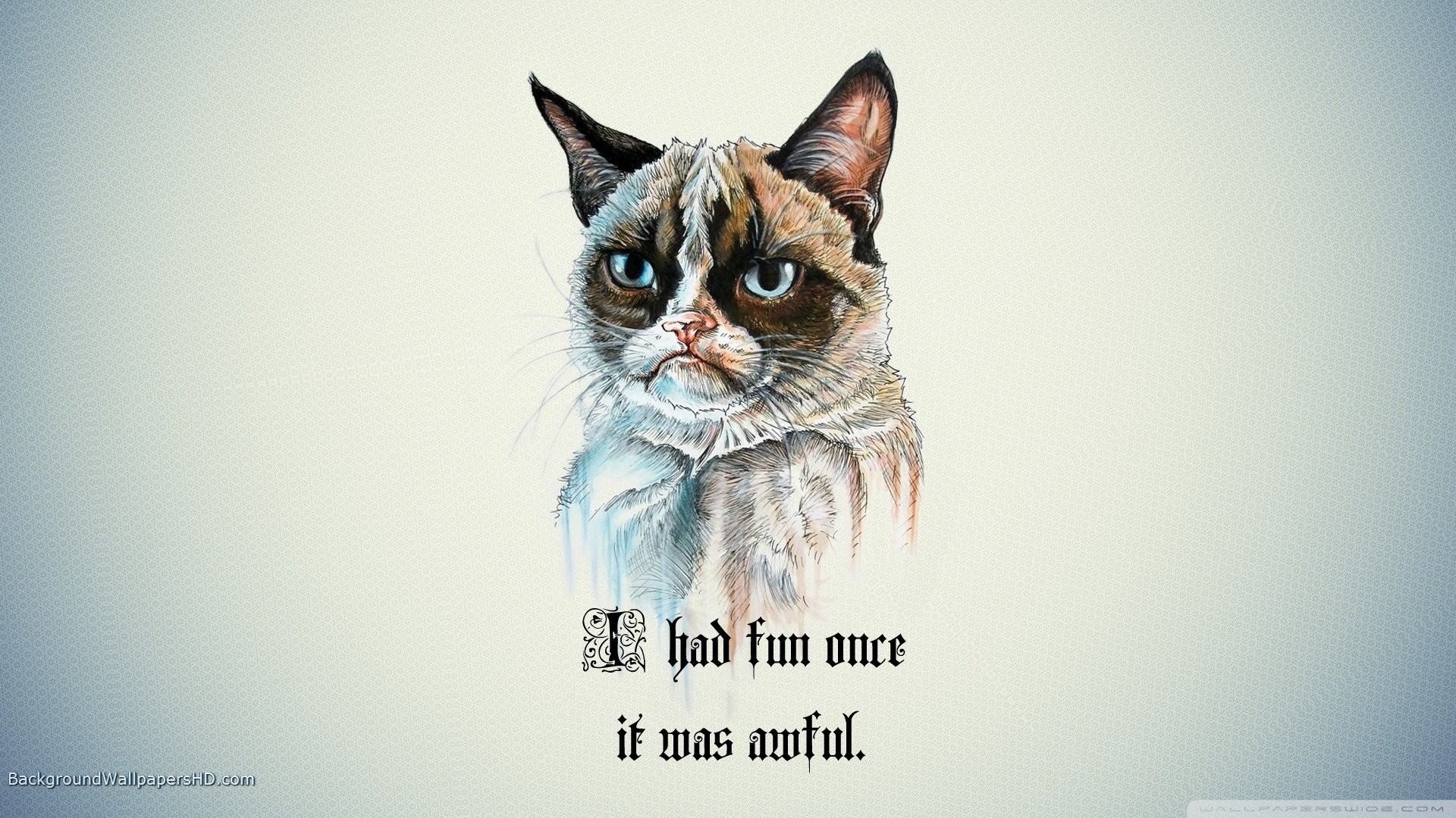 1920x1080 Grumpy Cat 585122. UPLOAD. TAGS: Desktop Fun Cat Funny