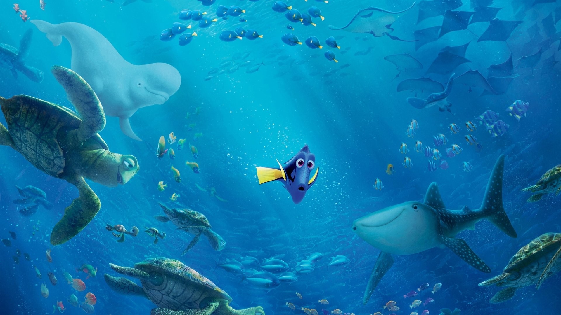 1920x1080 HD Wallpaper | Background ID:710865.  Movie Finding Dory