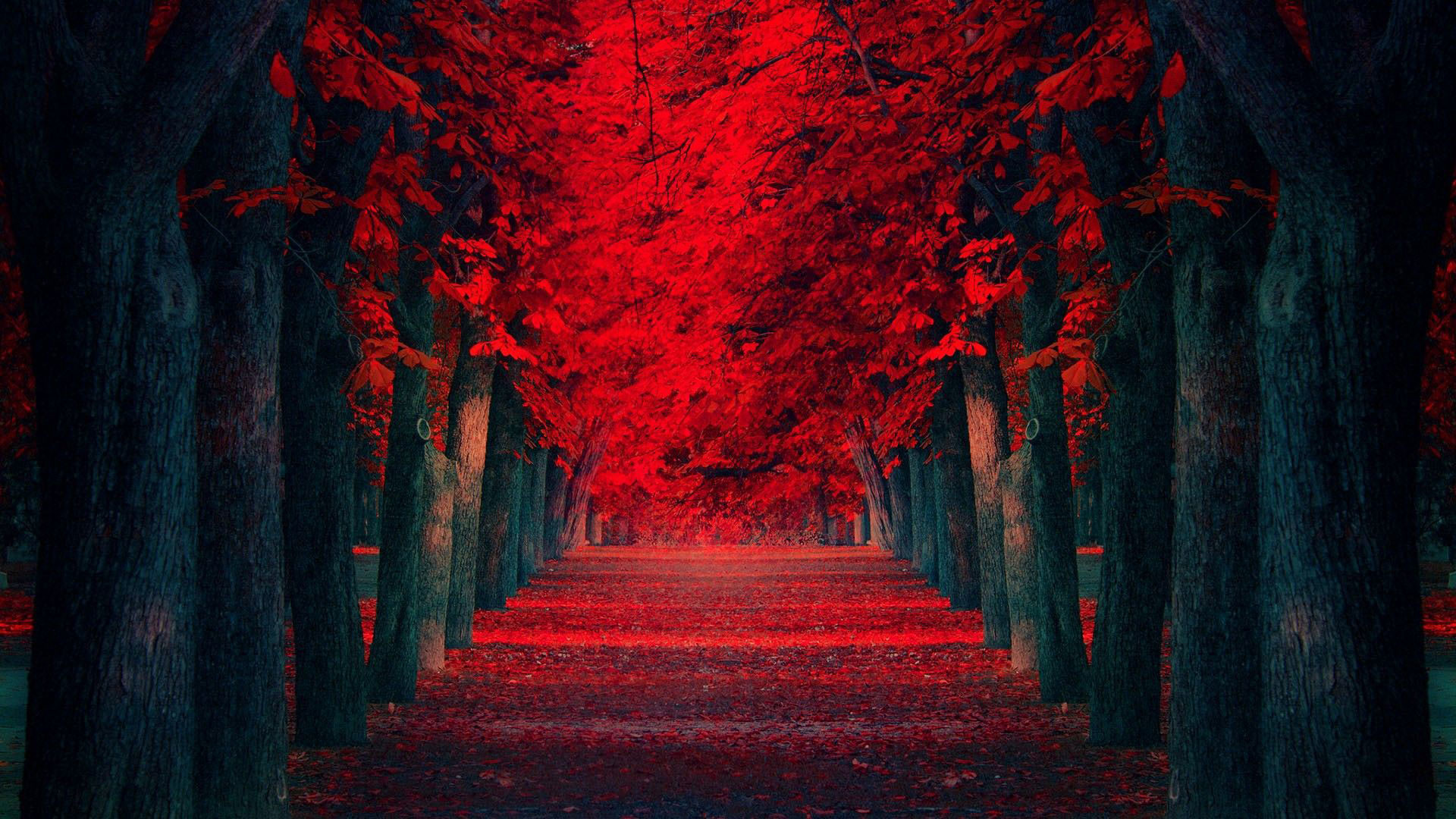 Red Forest Wallpaper Images  Free Download on Freepik