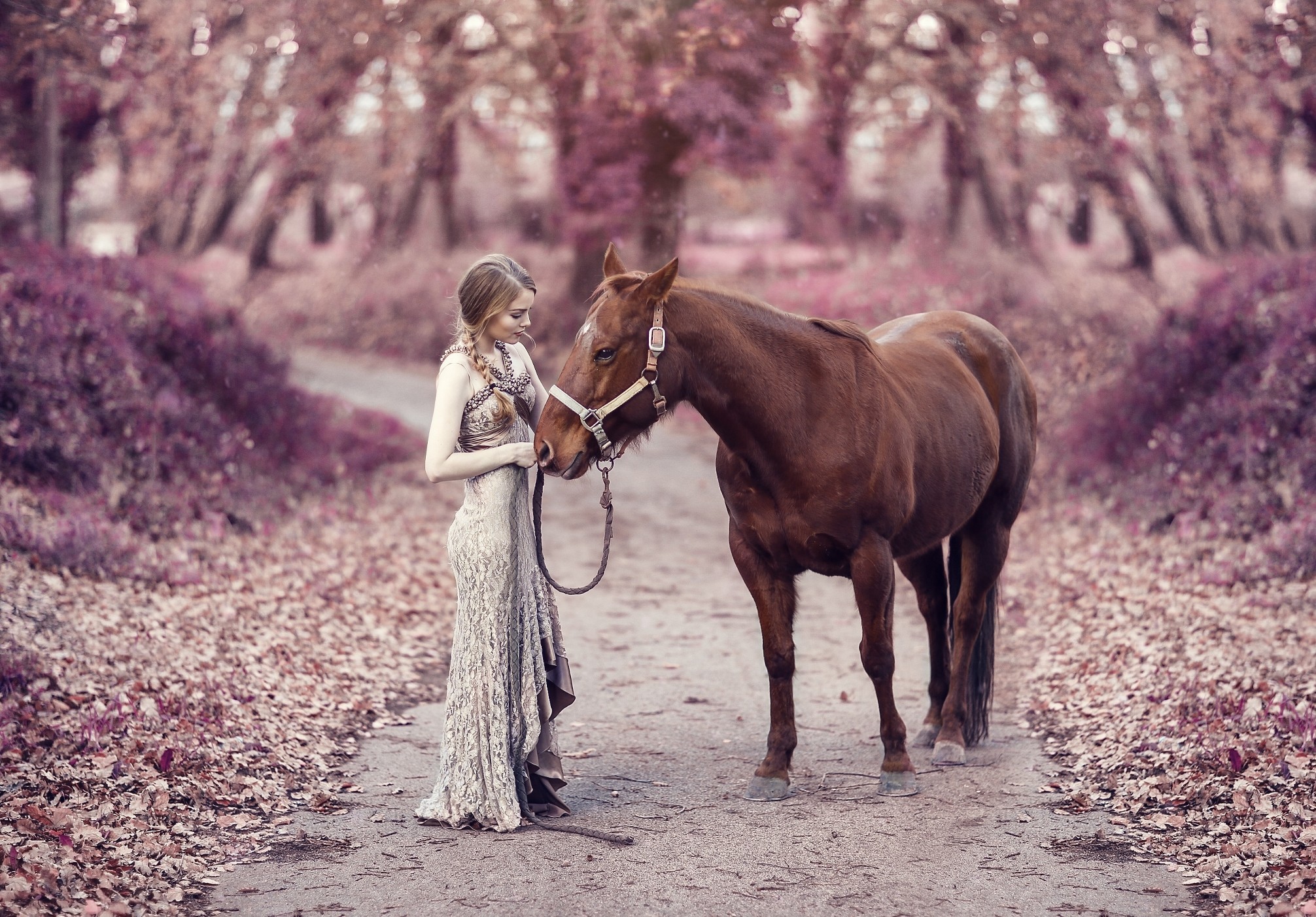 2012x1402 Girl With Horse