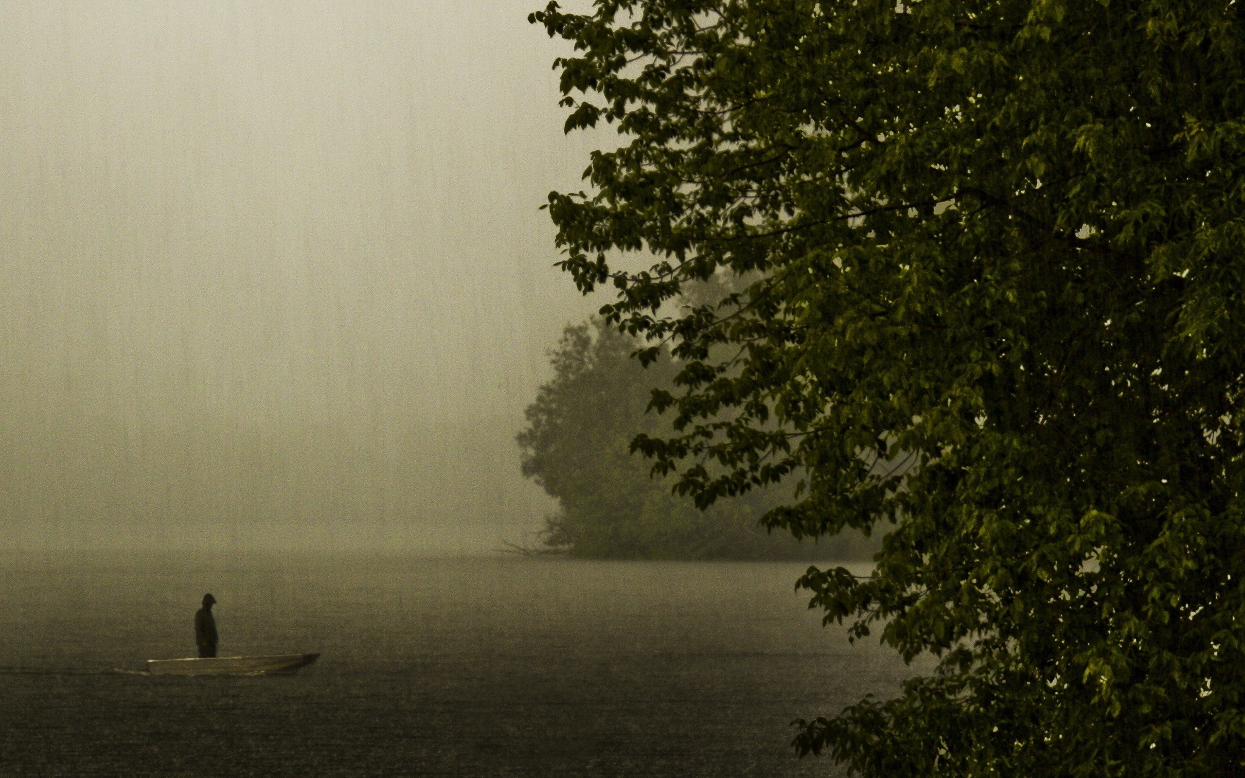 2560x1600 Rainy Day on the Lake wallpapers | Rainy Day on the Lake stock photos