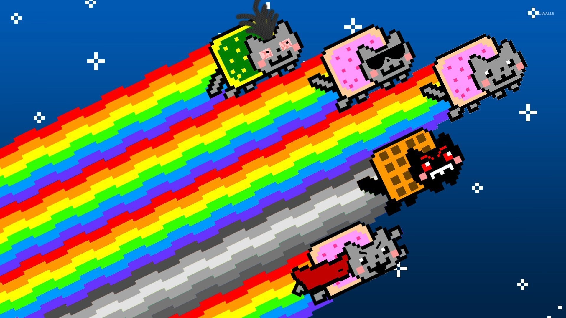 1920x1080 Nyan cats wallpaper Â· Memes Â· Nyan Cat Â·  ...