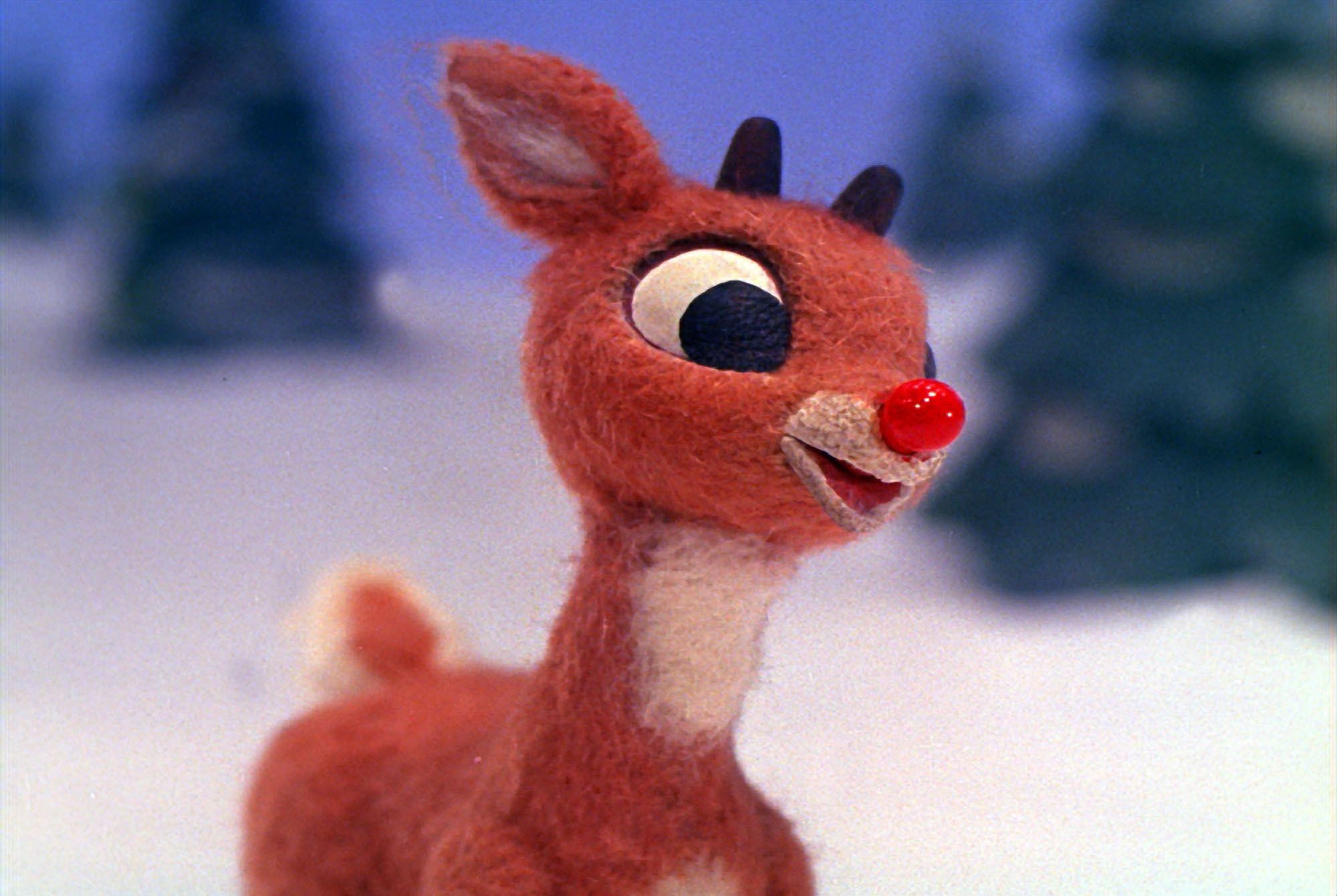 2000x1341 Rudolph The Red-nosed Reindeer #2