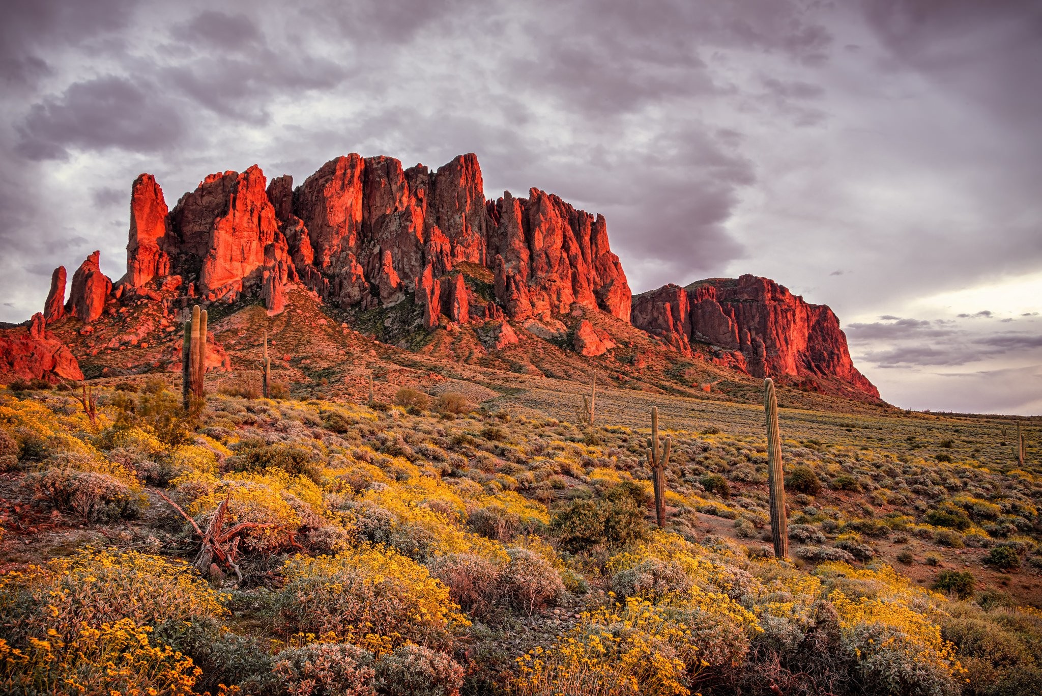 2048x1367 mountains, desert, flowers, cactus, apache, junction, state, of, arizona,  superstition, mountains Wallpaper HD