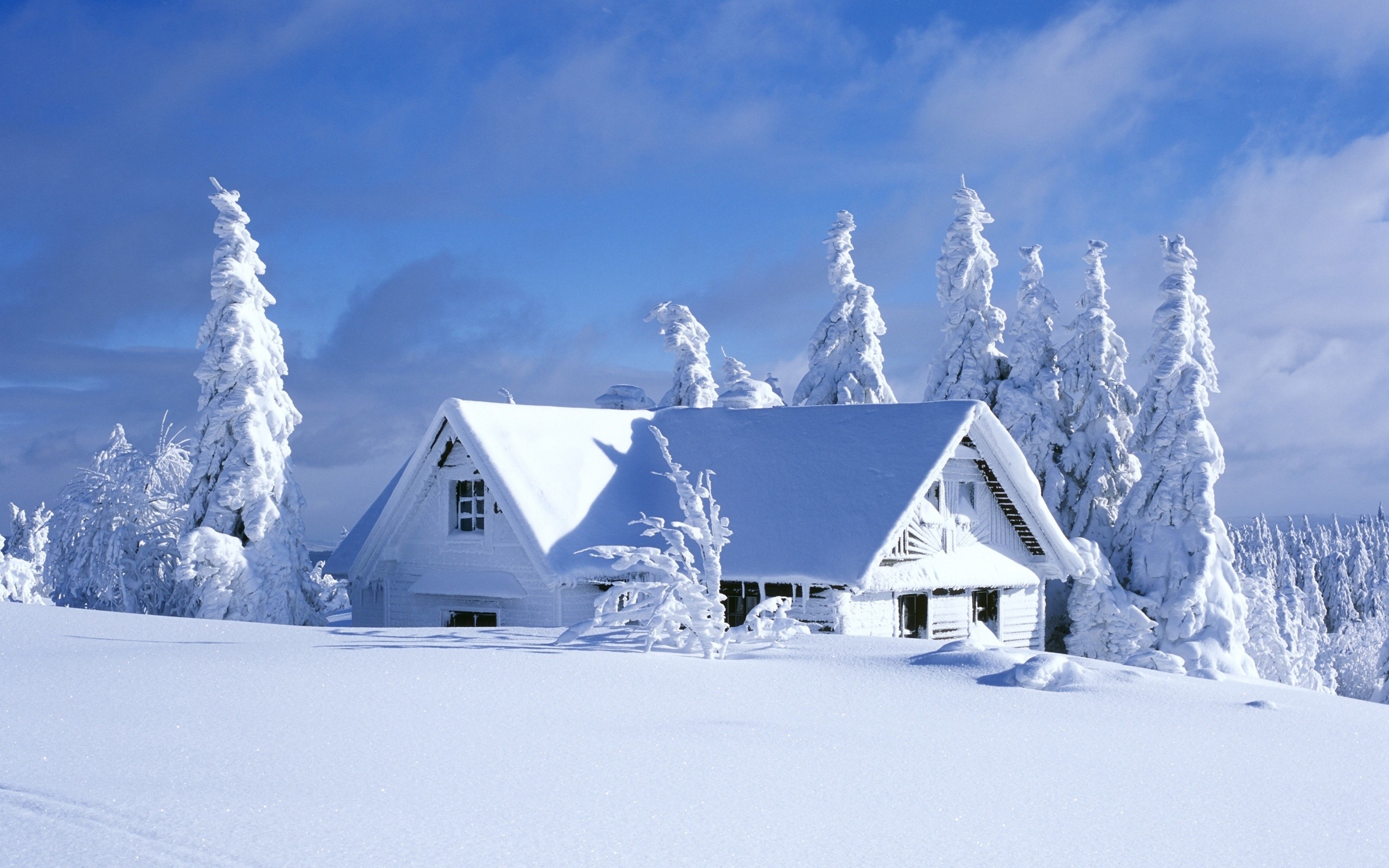 2560x1600 House-Covered-In-Snow-desktop-wallpaper