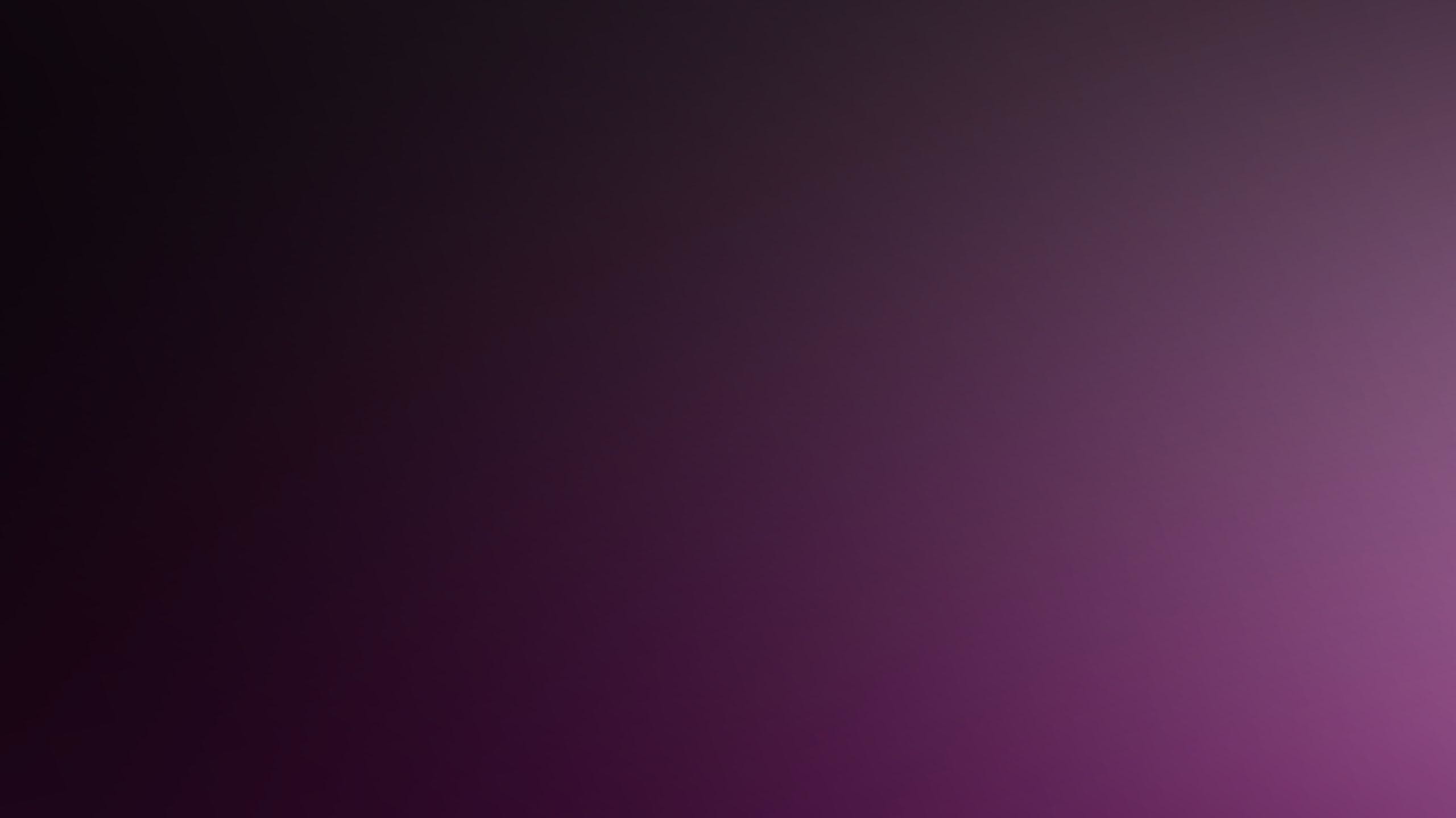 2560x1440 Dark Purple Background wallpaper - 1267141