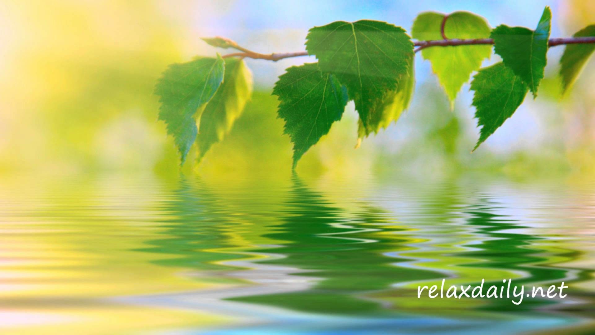 1920x1080 Calm Music - Slow, Peaceful, Background Music - relaxdaily NÂ°042 - YouTube