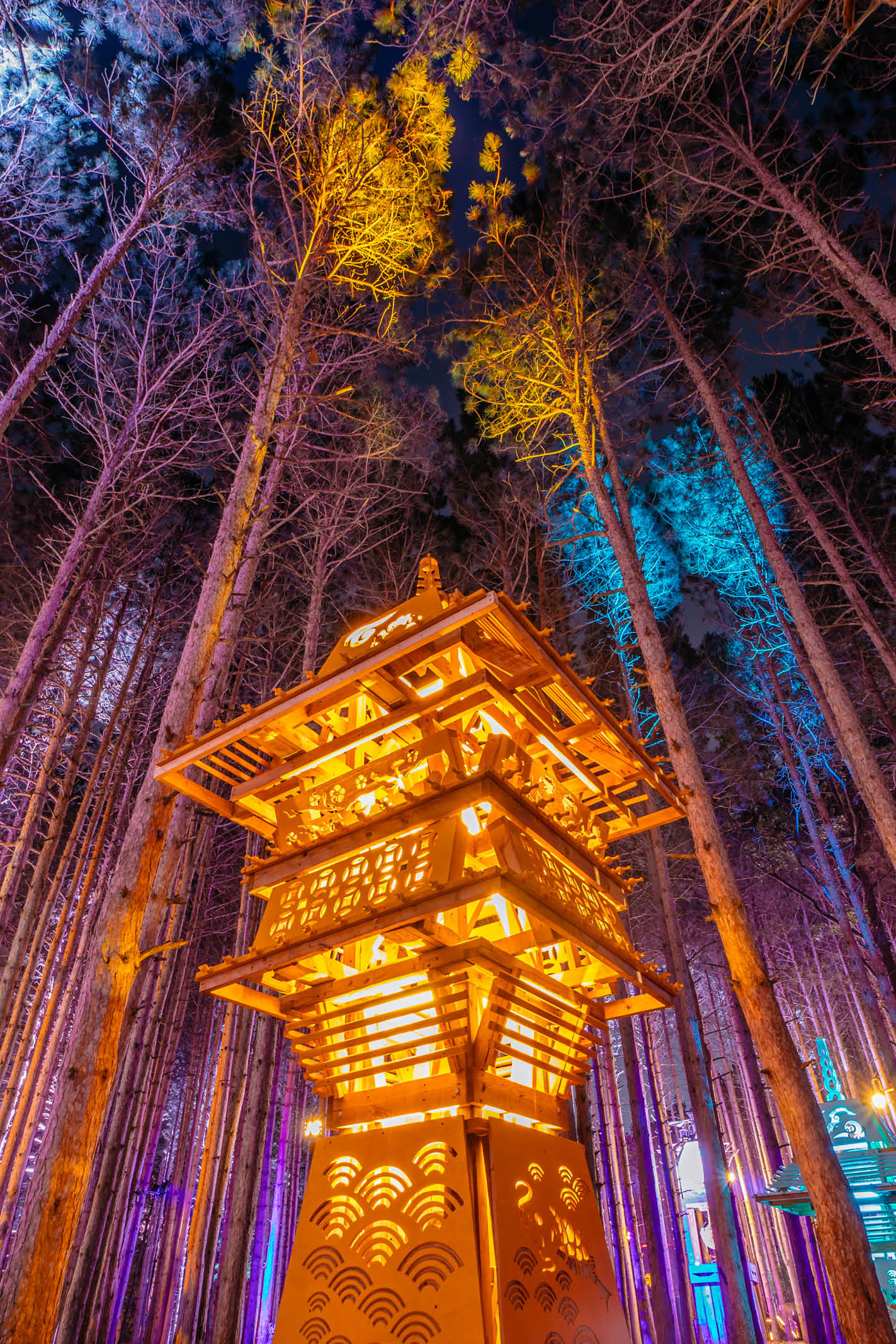 1423x2133 OFFICIAL ELECTRIC FOREST DESKTOP WALLPAPERS