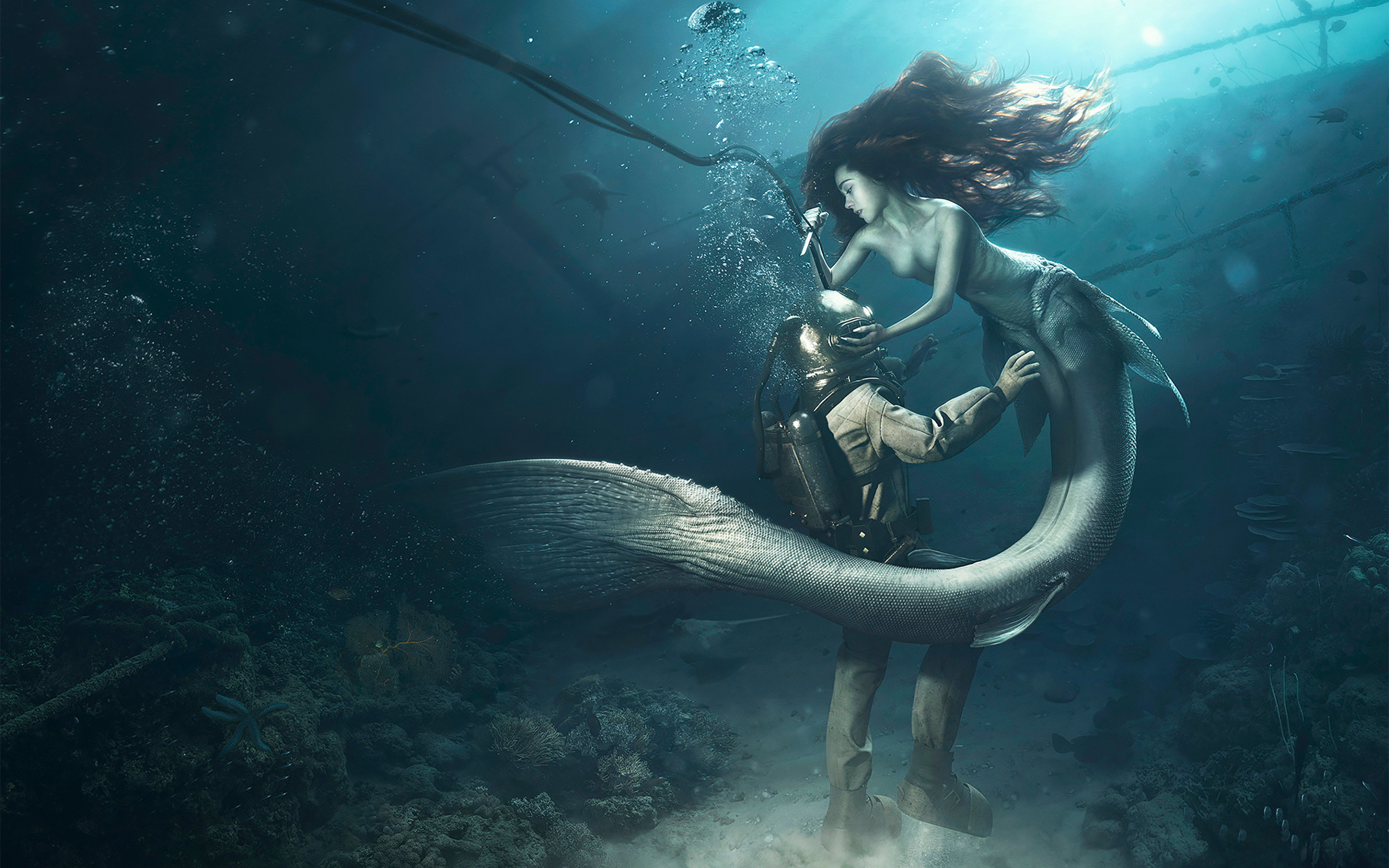 2880x1800 Diver and the Mermaid Wallpapers | HD Wallpapers