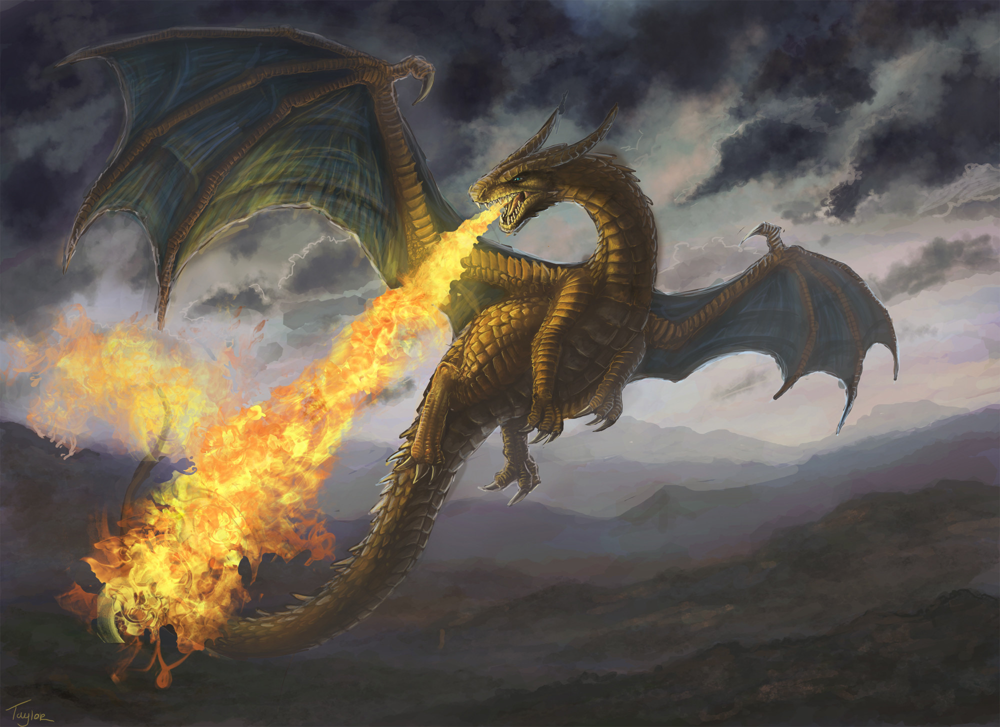 2000x1454 Fantasy - dragon Wallpaper