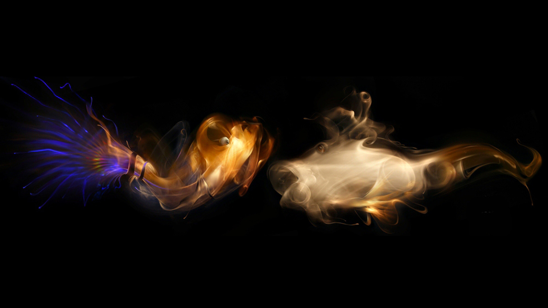 1920x1080 Multi color smoke fish with black background 3d gaming hd wallpapers .