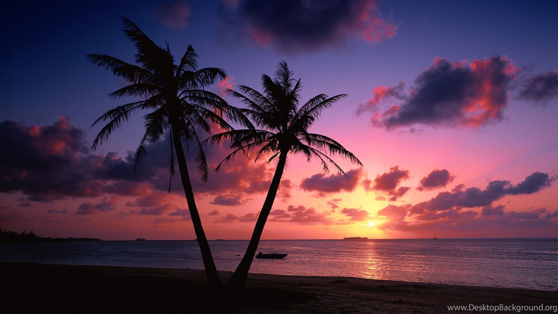 1920x1080 Tropical Beach Palm Trees Sunset Wallpapers