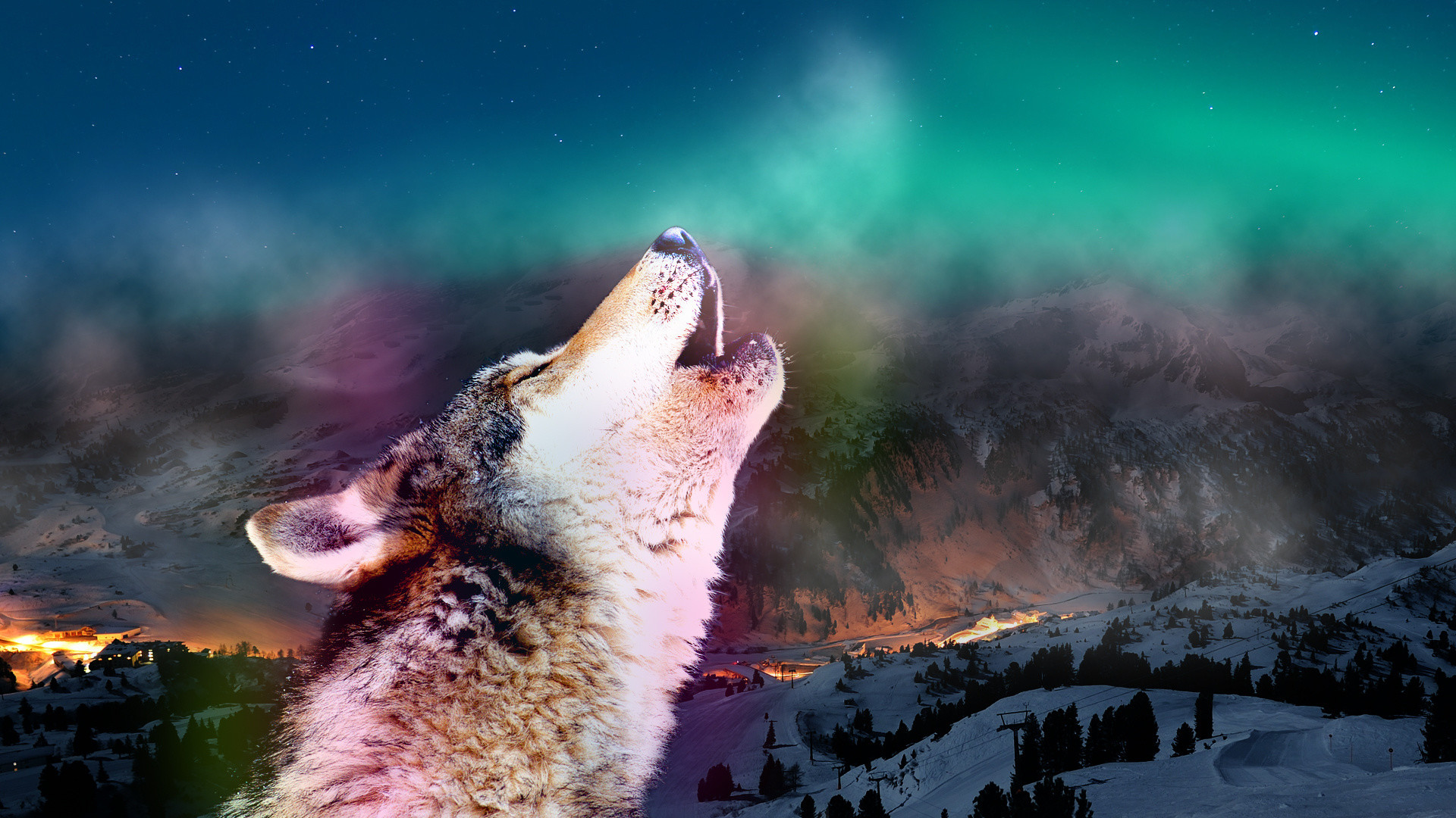 Wolf Howling Wallpaper.