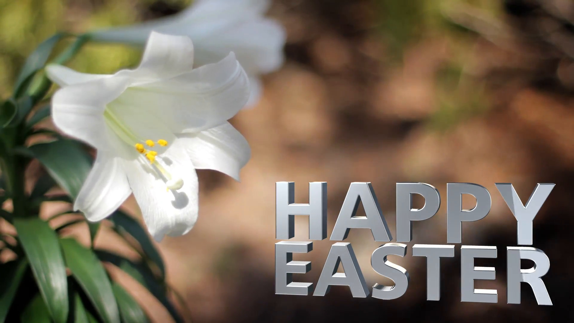 1920x1080 Easter Lilies in Breeze Happy Easter Text Motion Background - VideoBlocks