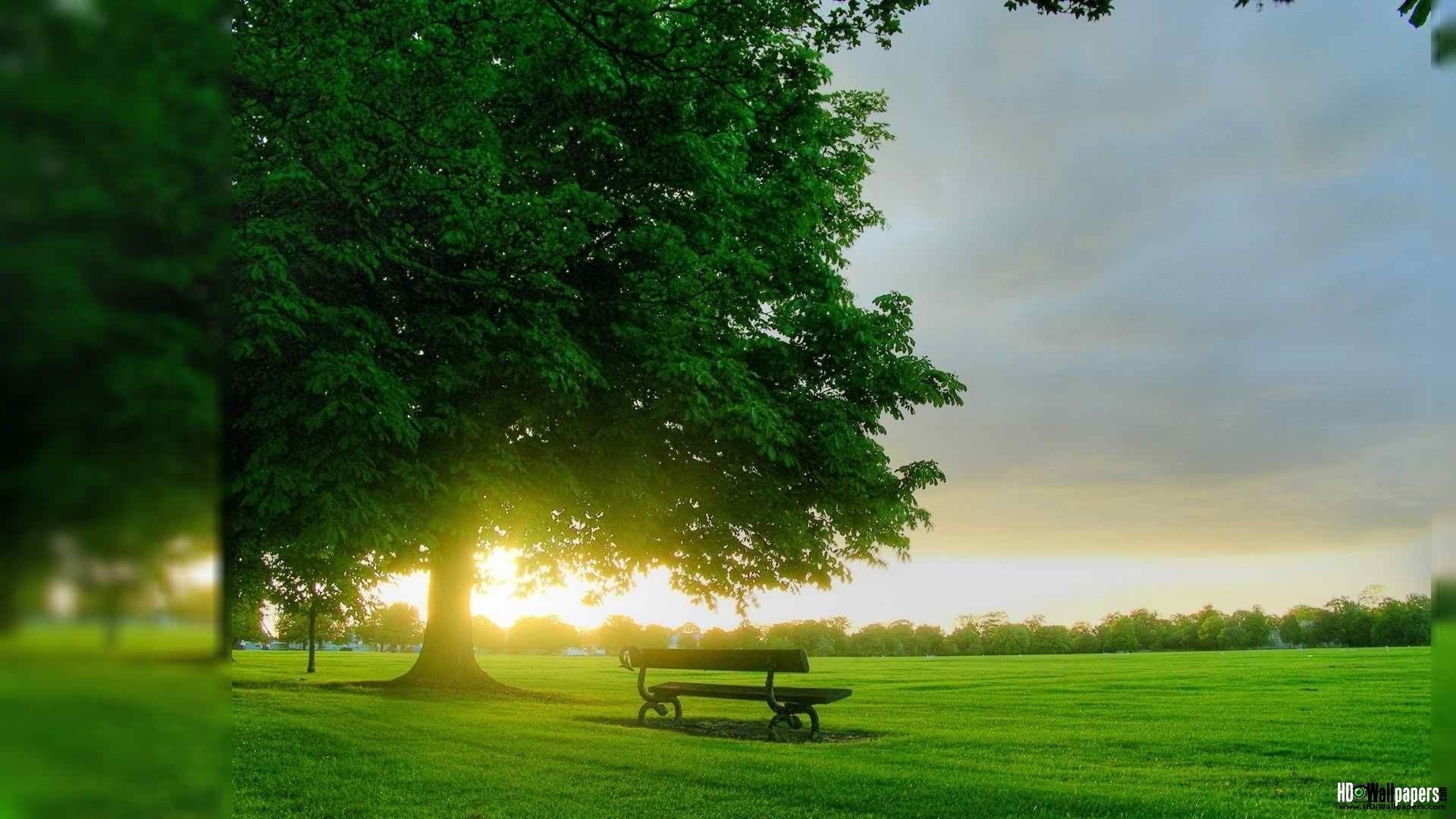 1920x1080 Hd Nature Wallpapers For Android