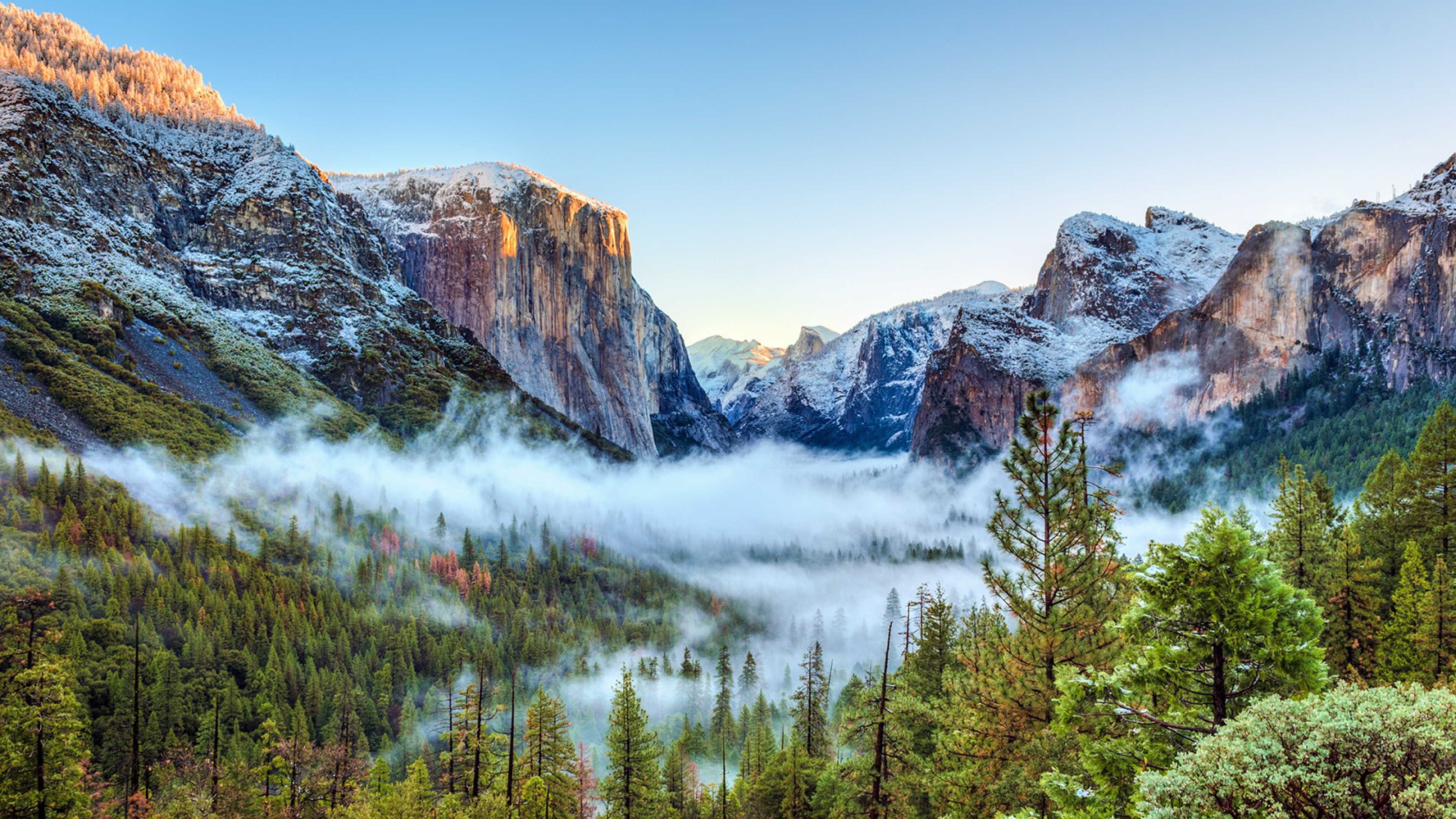 3840x2160 Preview wallpaper usa, yosemite national park, california, mountains, fog,  trees 