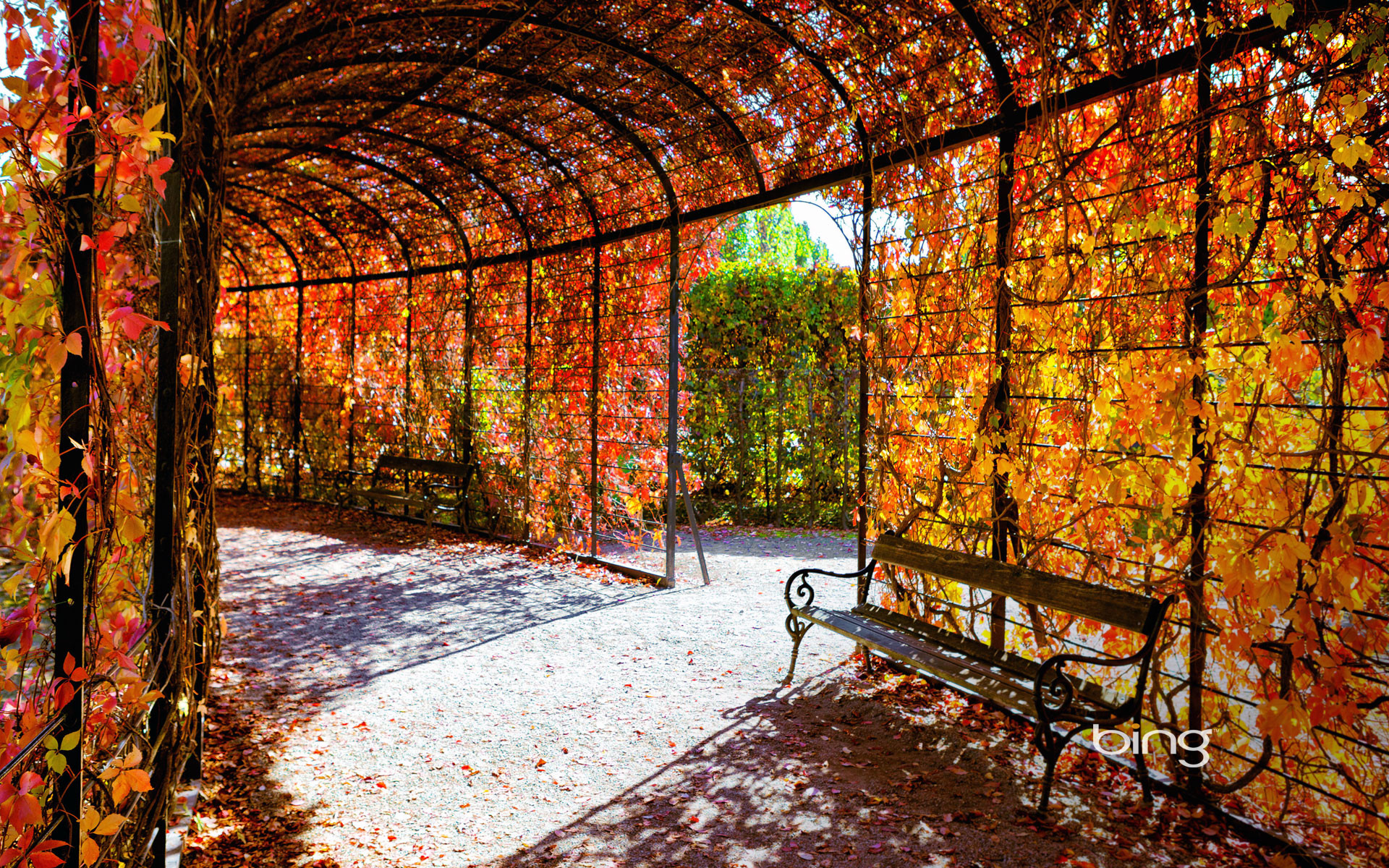 1920x1200 Autumn Cafe - Other & Architecture Background Wallpapers on . ...