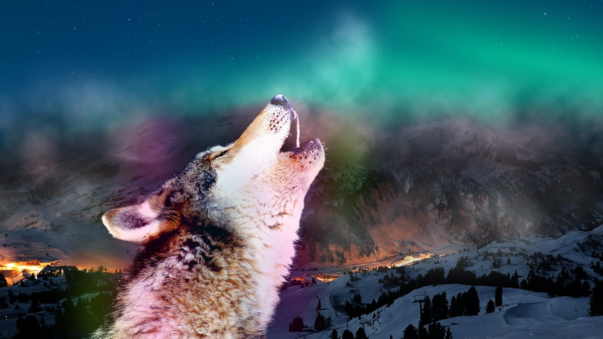 1920x1080 Howling Tag - Auroras Animals Howling Wolf Aurora Wolves Sky Nature  Wallpaper Desktop for HD 16